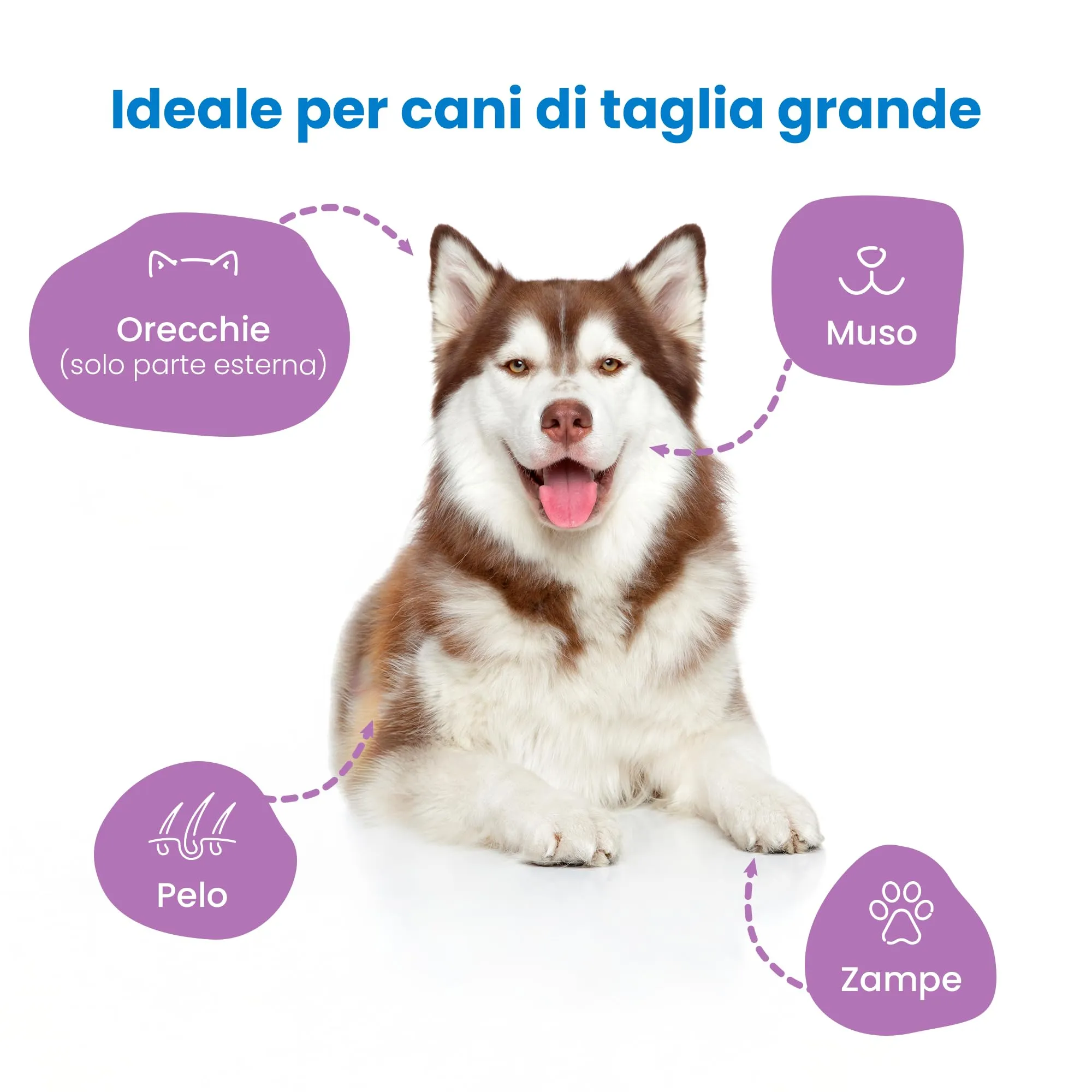 CAMON - Salviette Detergenti per Cani e Gatti, Maxi Formato 30x40 cm - immagine 3