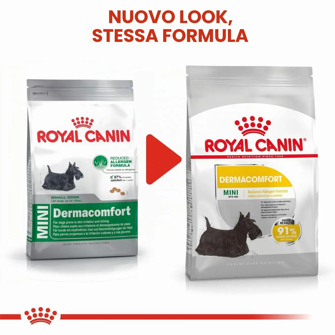 Royal Canin Dermacomfort Mini | 1 kg | Alimento completo per cani adulti di piccola taglia fino a 10 kg | Per supportare la normale salute della pelle | Con acidi grassi Omega-3 e 6 - immagine 2