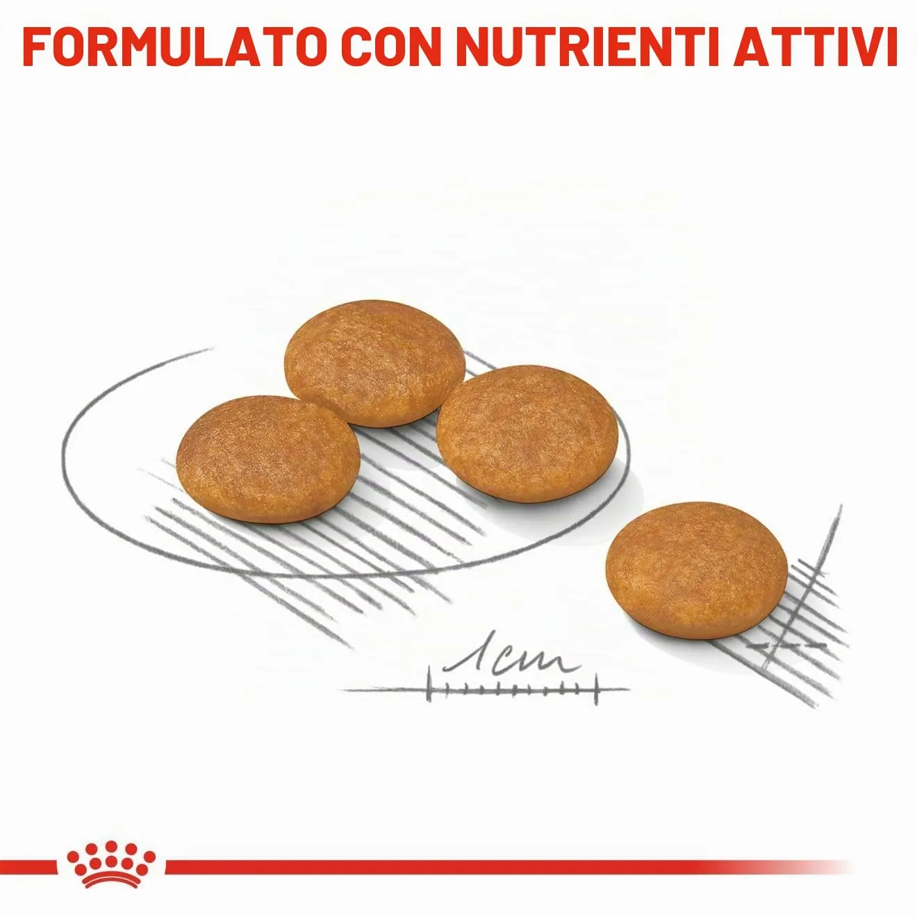 Royal Canin Dermacomfort Mini | 1 kg | Alimento completo per cani adulti di piccola taglia fino a 10 kg | Per supportare la normale salute della pelle | Con acidi grassi Omega-3 e 6 - immagine 5