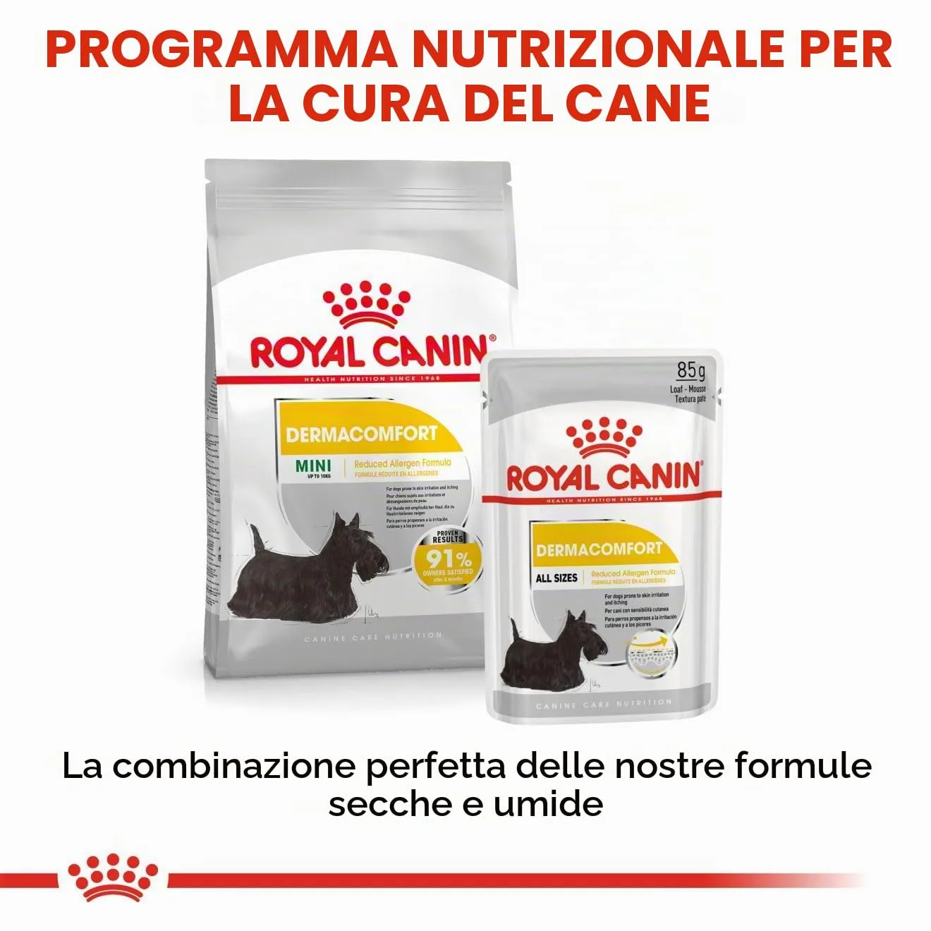 Royal Canin Dermacomfort Mini | 1 kg | Alimento completo per cani adulti di piccola taglia fino a 10 kg | Per supportare la normale salute della pelle | Con acidi grassi Omega-3 e 6 - immagine 7