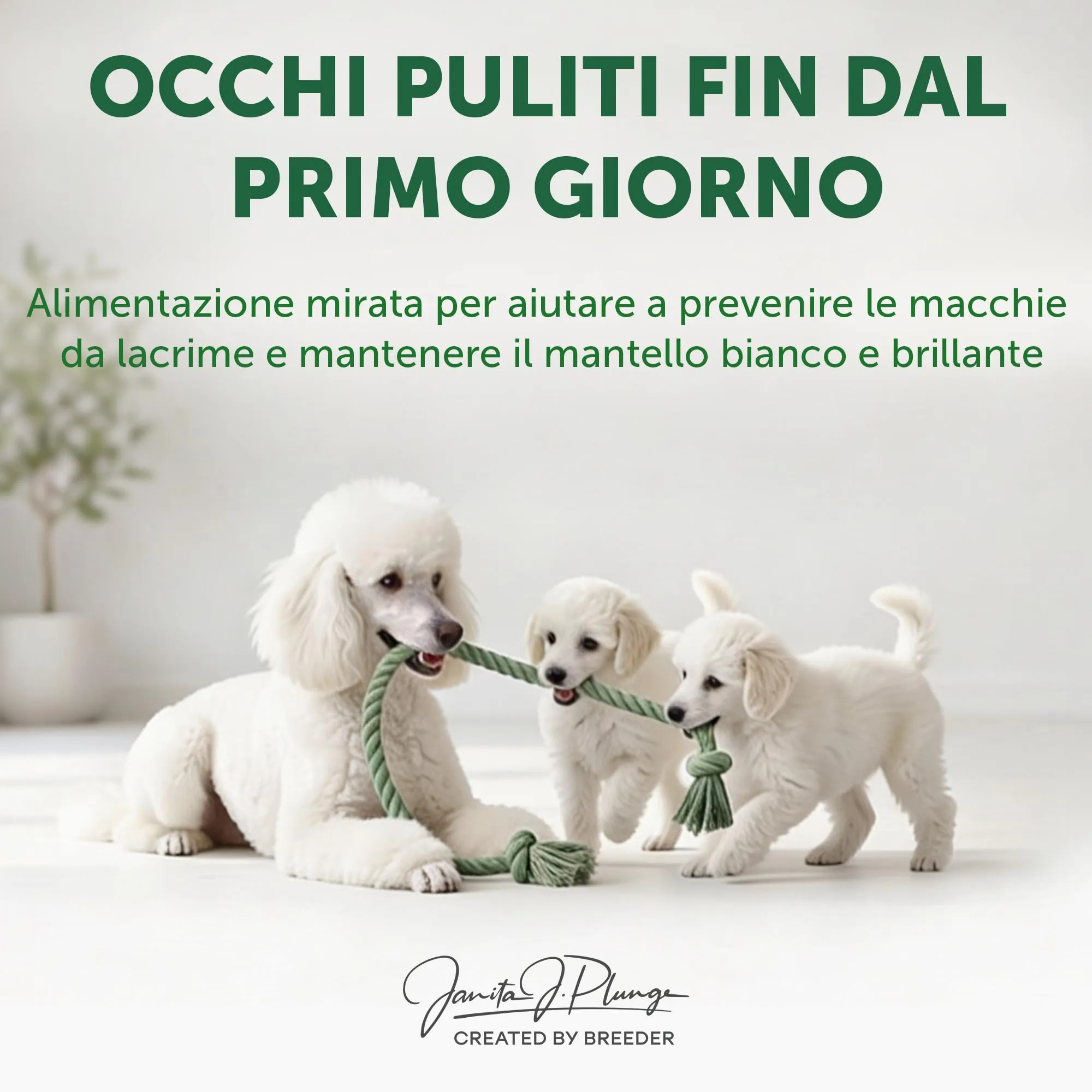 Nature's Protection Superior Care Cibo secco per cuccioli, Salmone 10 kg - immagine 2