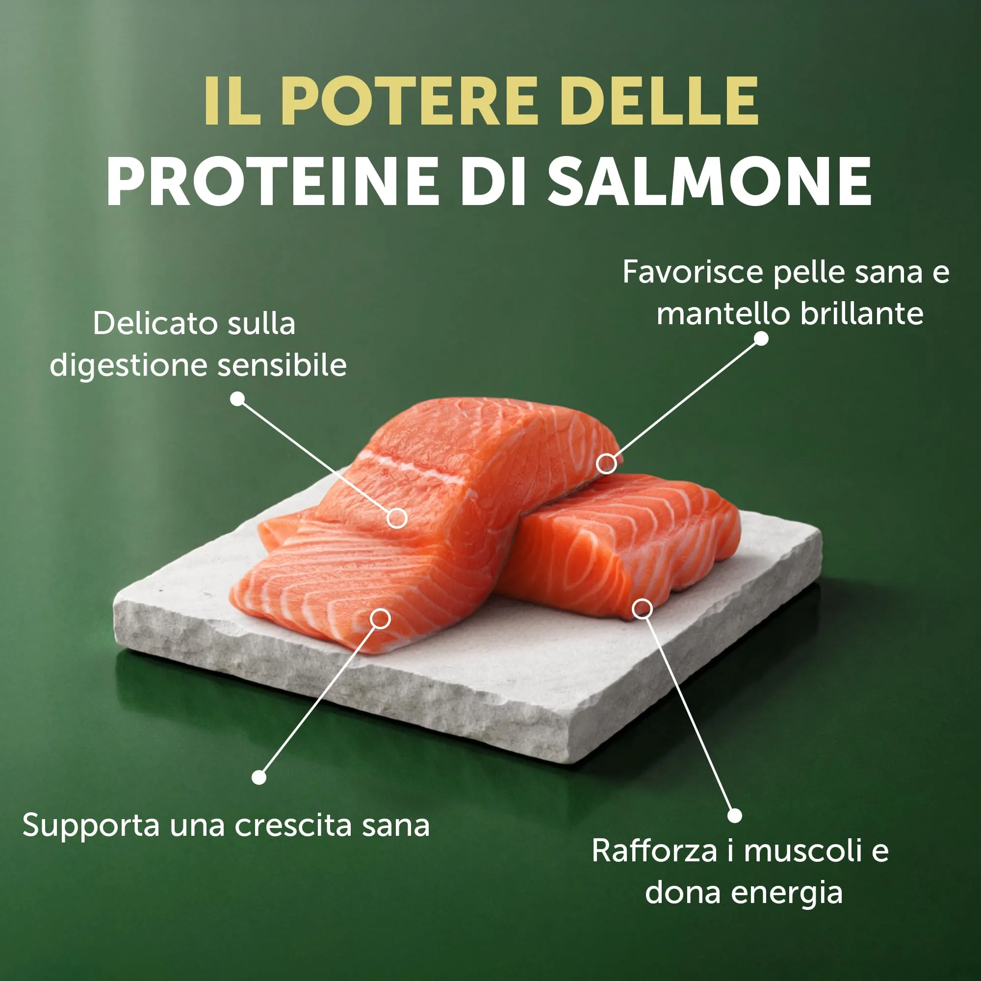 Nature's Protection Superior Care Cibo secco per cuccioli, Salmone 10 kg - immagine 4
