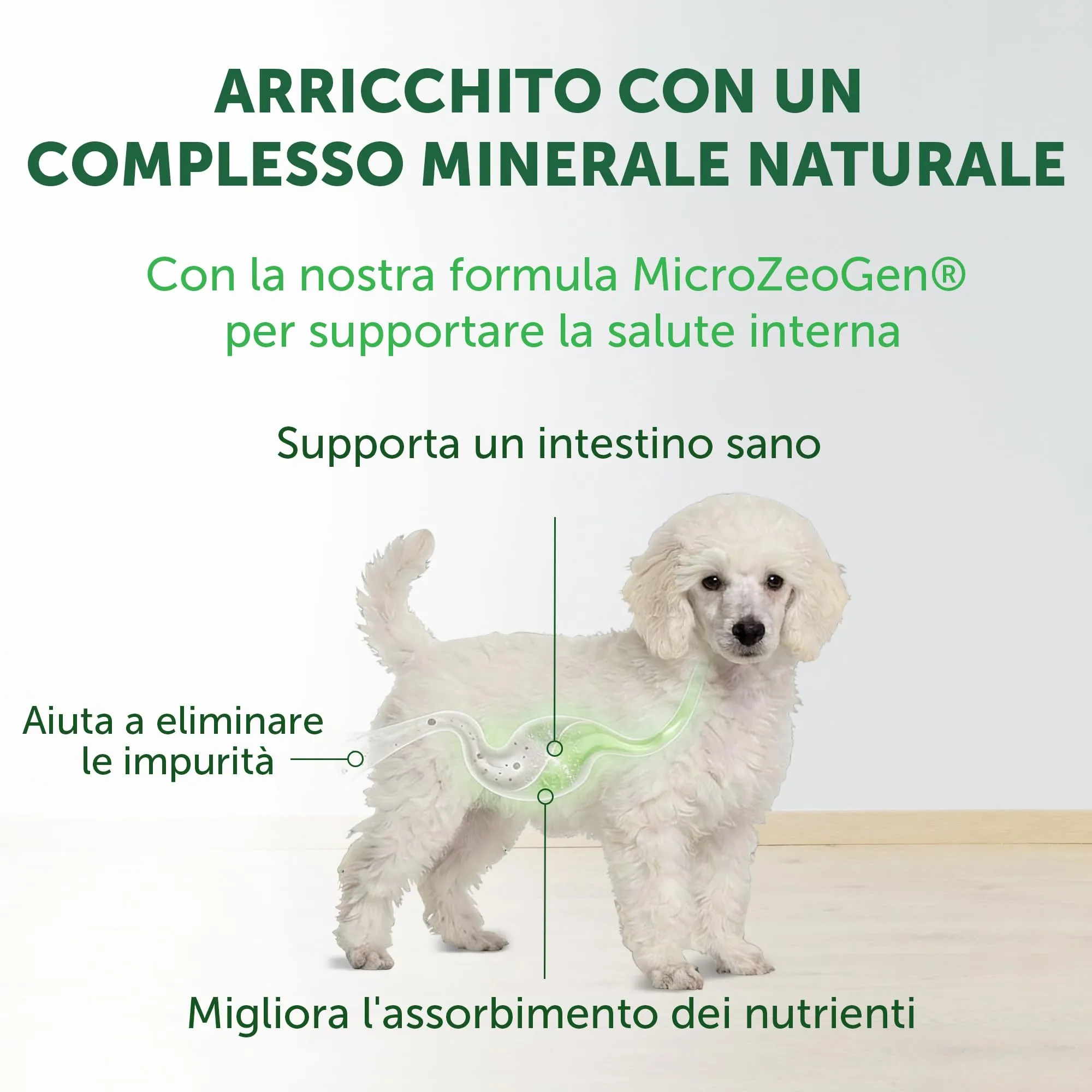 Nature's Protection Superior Care Cibo secco per cuccioli, Salmone 10 kg - immagine 5