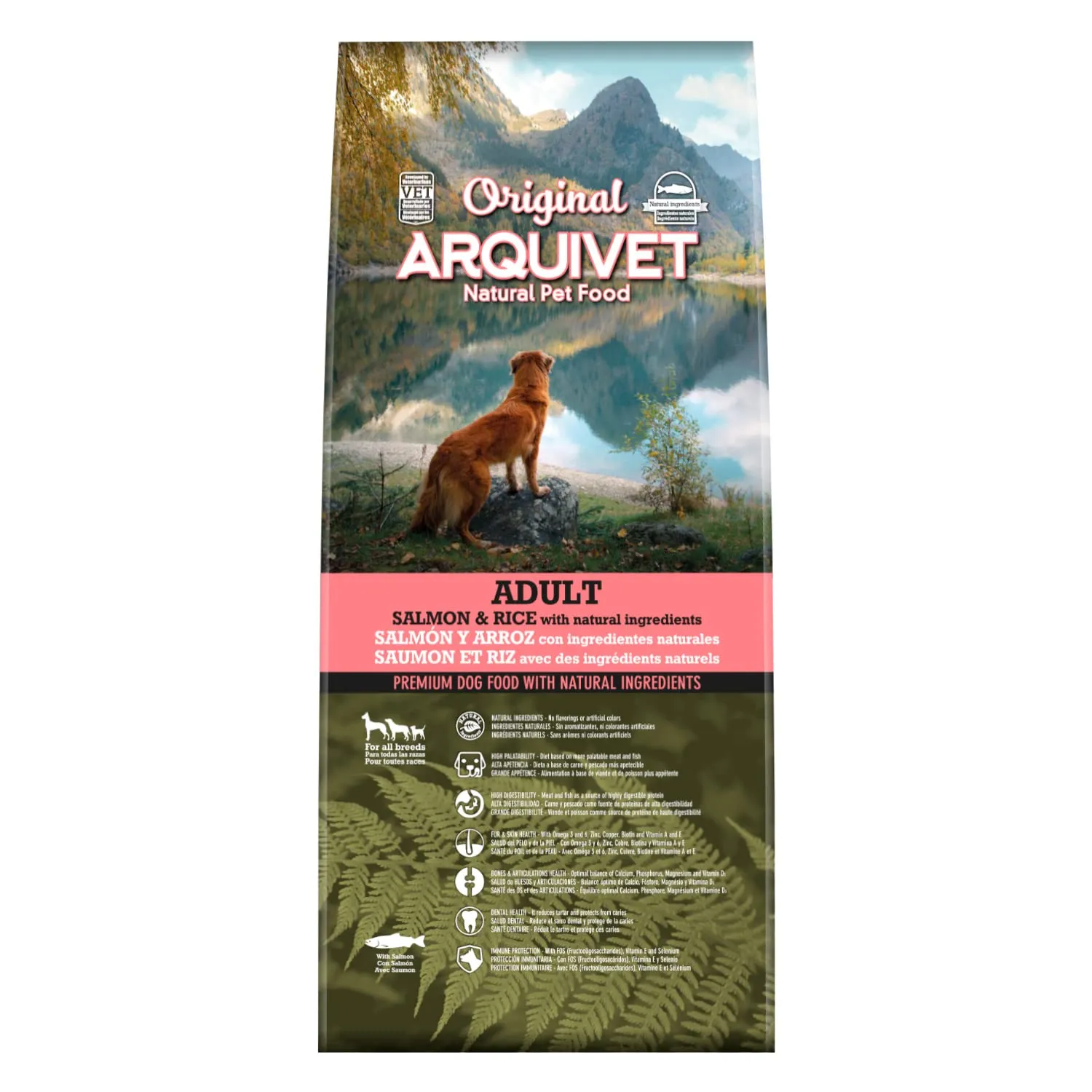 ARQUIVET Original - Adult - Salmone e riso - Crocchette per cani di Salmone e riso - 12 kg - alimento secco per cani - tutte le razze - ingredienti naturali - immagine 4