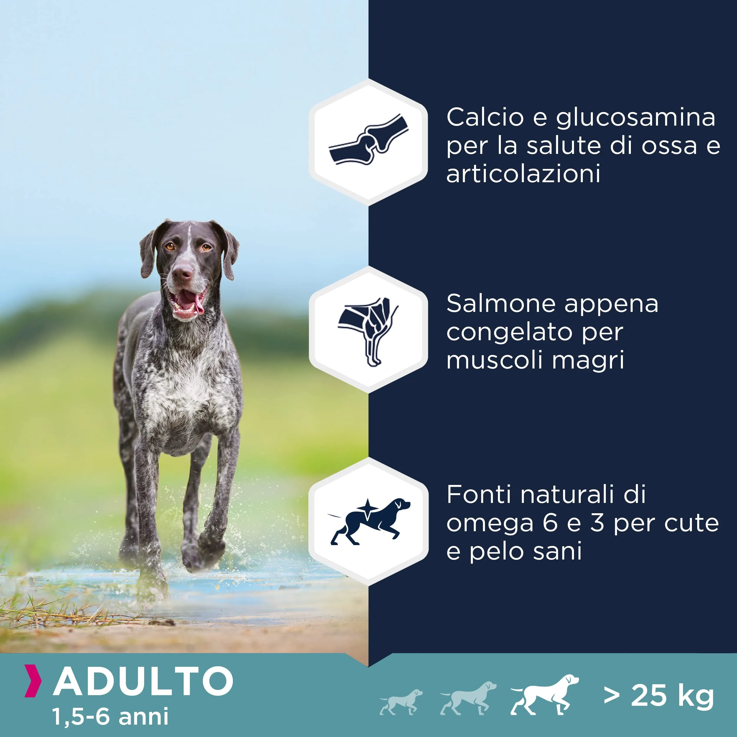 Eukanuba Grain Free* - Alimento per cani adulti di taglia grande, Ricetta a basso contenuto di allergeni, 12 kg - immagine 4