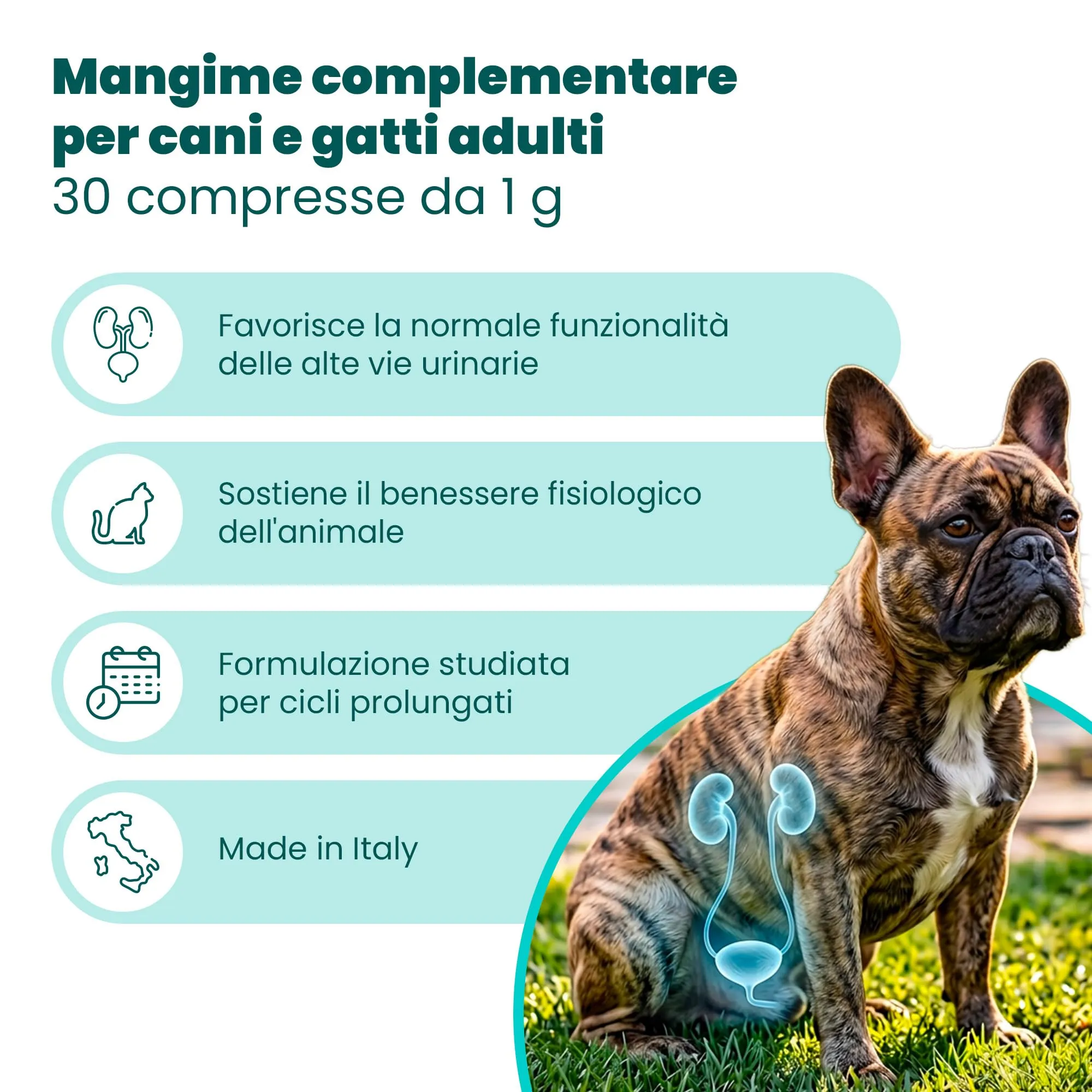 CAMON - Help-Nefro, Formato da 30 Compresse - immagine 2