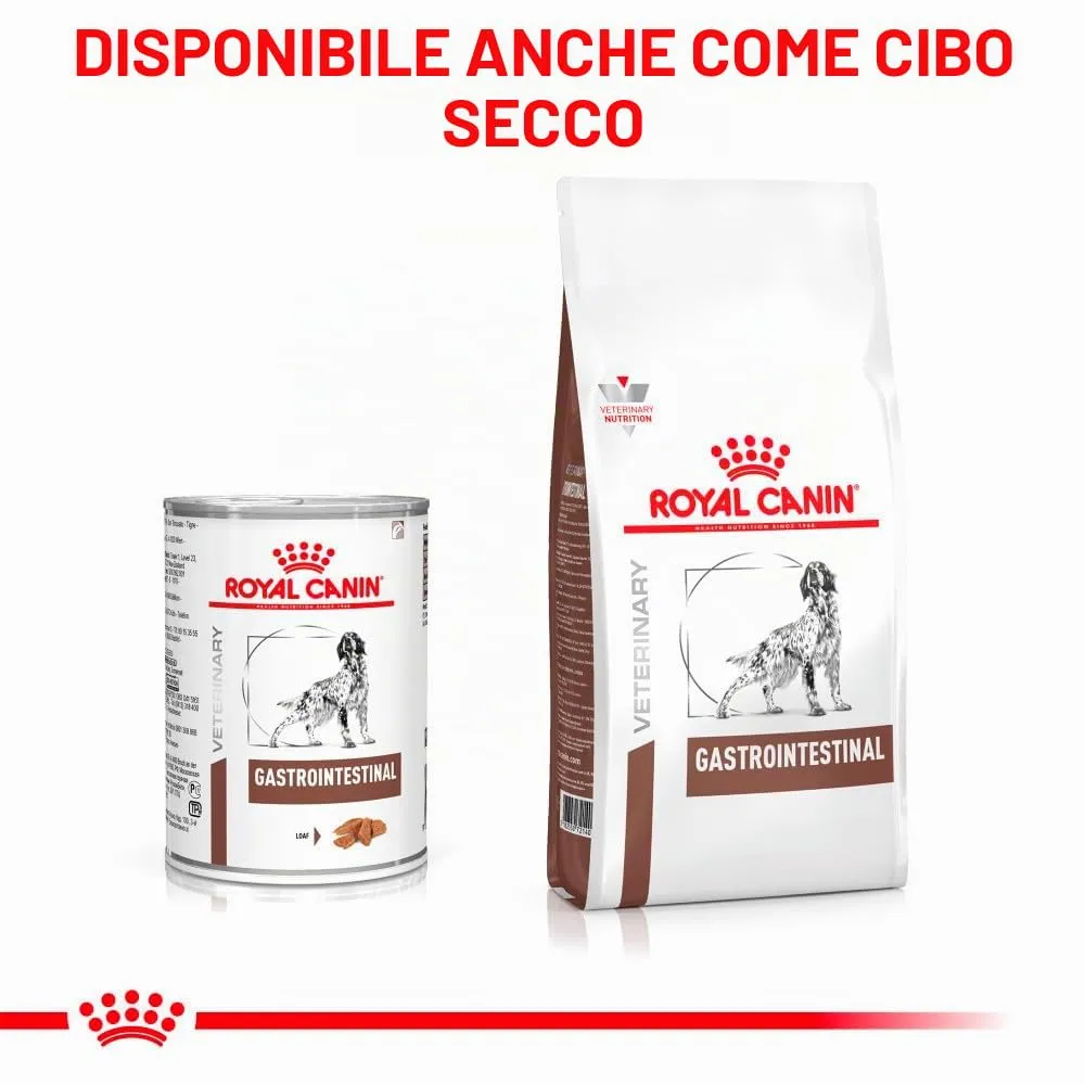 Royal Canin Veterinary Gastrointestinal Mousse | 12 x 400 g | Alimento dietetico completo per cani adulti | Per supportare i disturbi acuti del riassorbimento intestinale - immagine 5