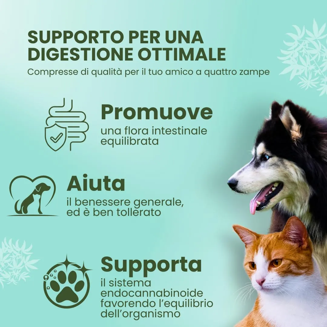 CAMON - Canahelp Compresse, Alimento Complementare per Cani e Gatti - immagine 4