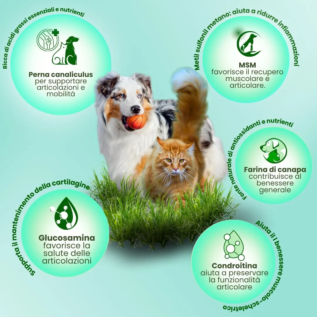 CAMON - Canahelp Compresse, Alimento Complementare per Cani e Gatti - immagine 6