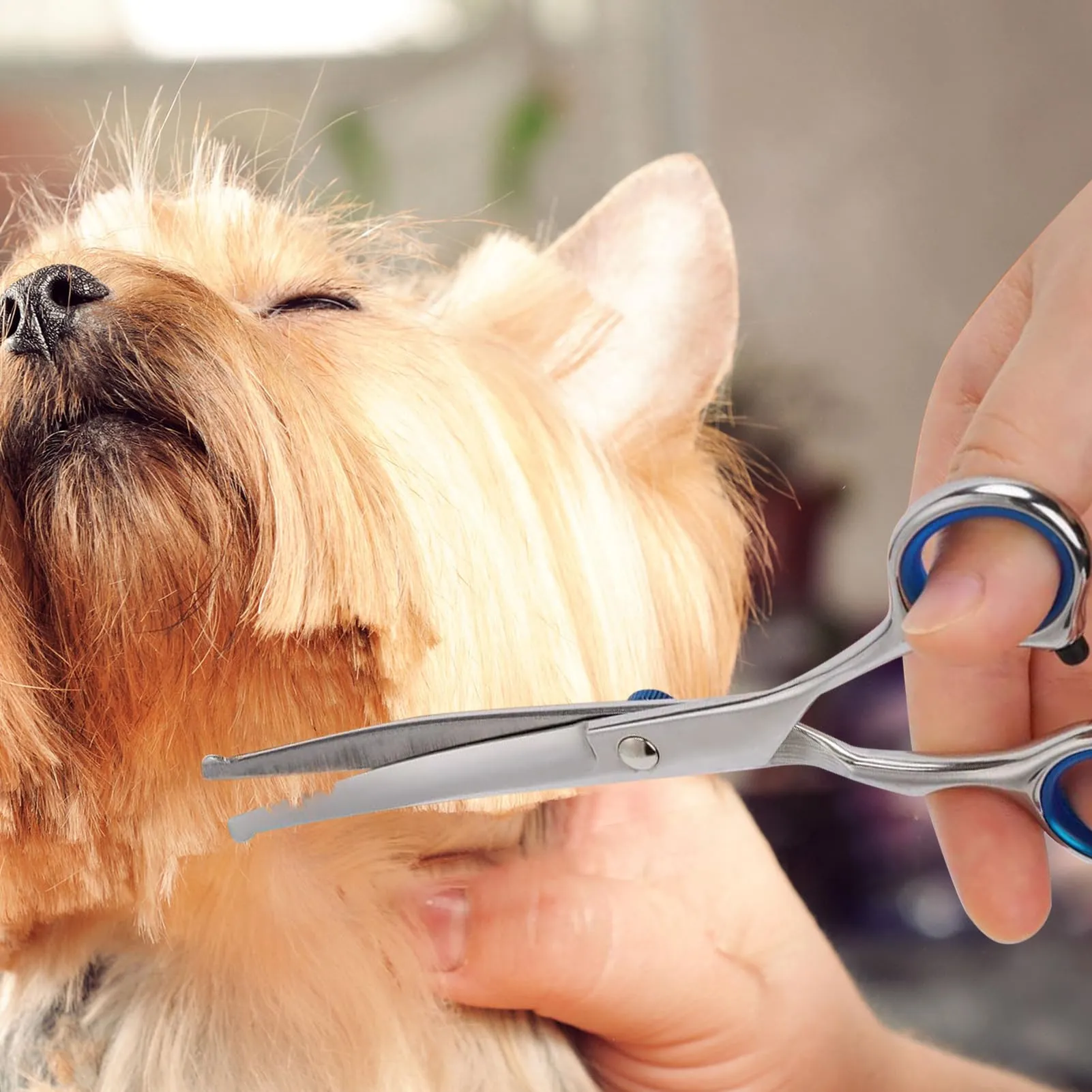 Forbici da Toelettatura per Animali Domestici, Forbice Curve per cani, Con Punta Rotonda di Sicurezza, In Acciaio Inox Forbici Professionali per La Toelettatura di Cani Gatti - immagine 7