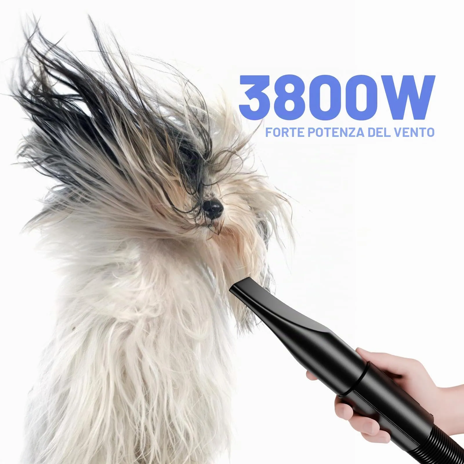 Blanlody Soffiatore per Cani Blower Molto Silenzioso, 5,2 Cv/3800 W - immagine 5