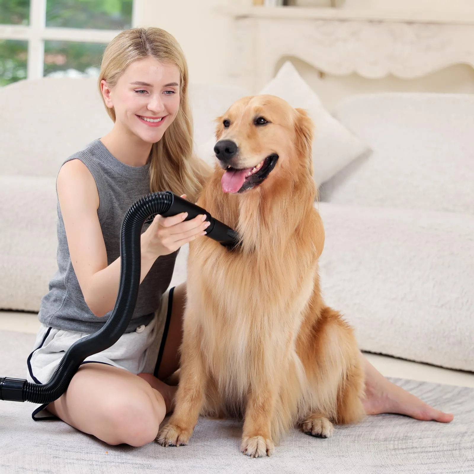 Blanlody Soffiatore per Cani Blower Molto Silenzioso, 5,2 Cv/3800 W - immagine 6