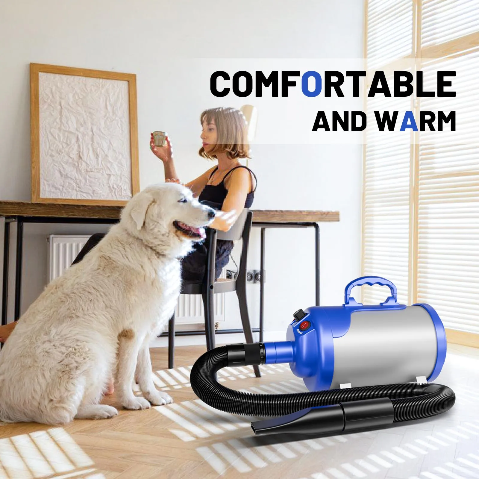 Blanlody Soffiatore Per Cani Blower Molto Silenzioso, 5,2 Cv/3800 W - immagine 2