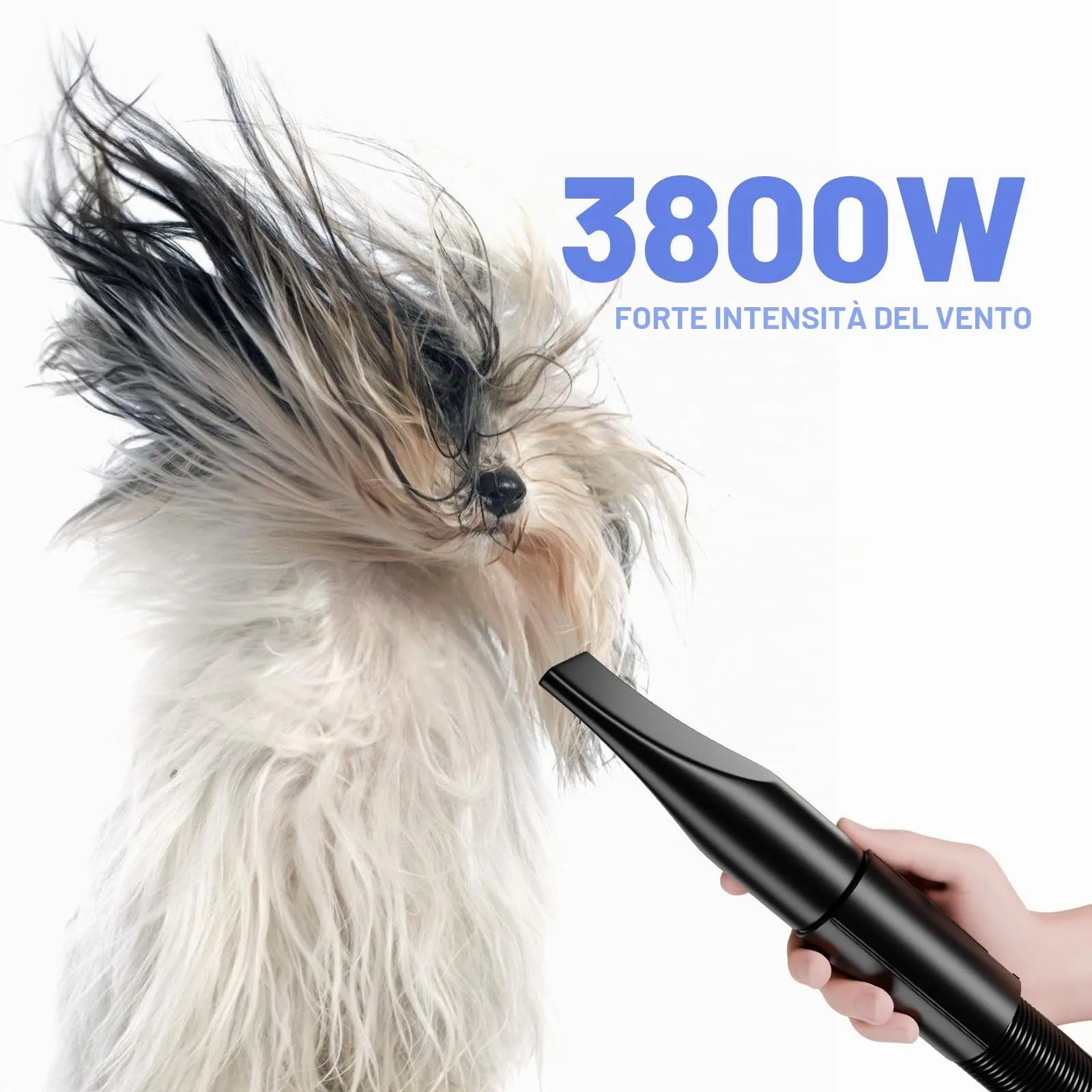 Blanlody Soffiatore Per Cani Blower Molto Silenzioso, 5,2 Cv/3800 W - immagine 4