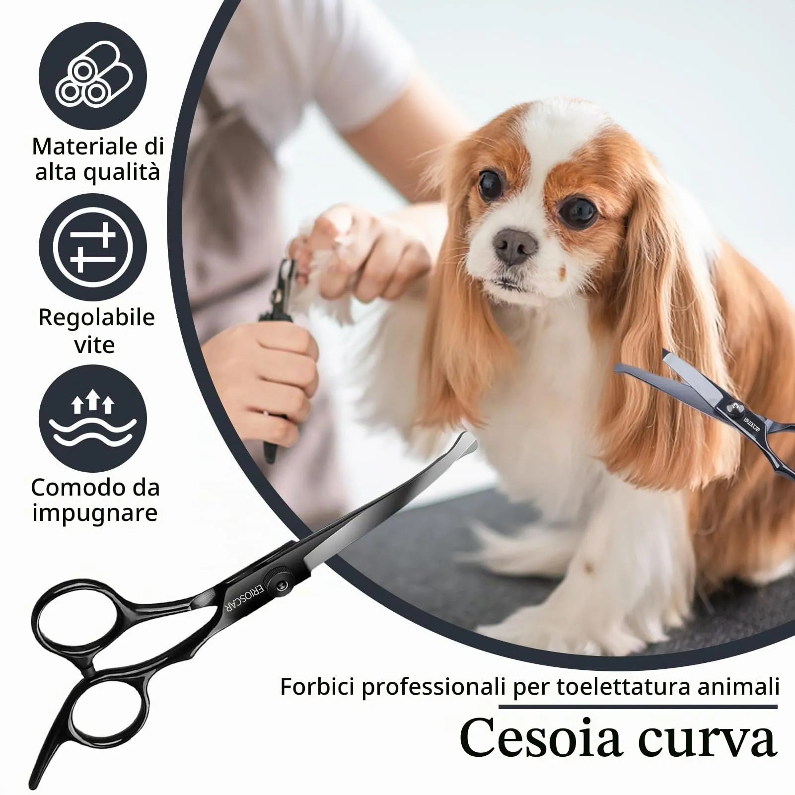 Forbici da Toelettatura per Animali Domestici, Forbice Curva per cani, Con Punta Rotonda di Sicurezza, Rivestimento in Titanio Negro In Acciaio Inox Forbici Professionali - immagine 4
