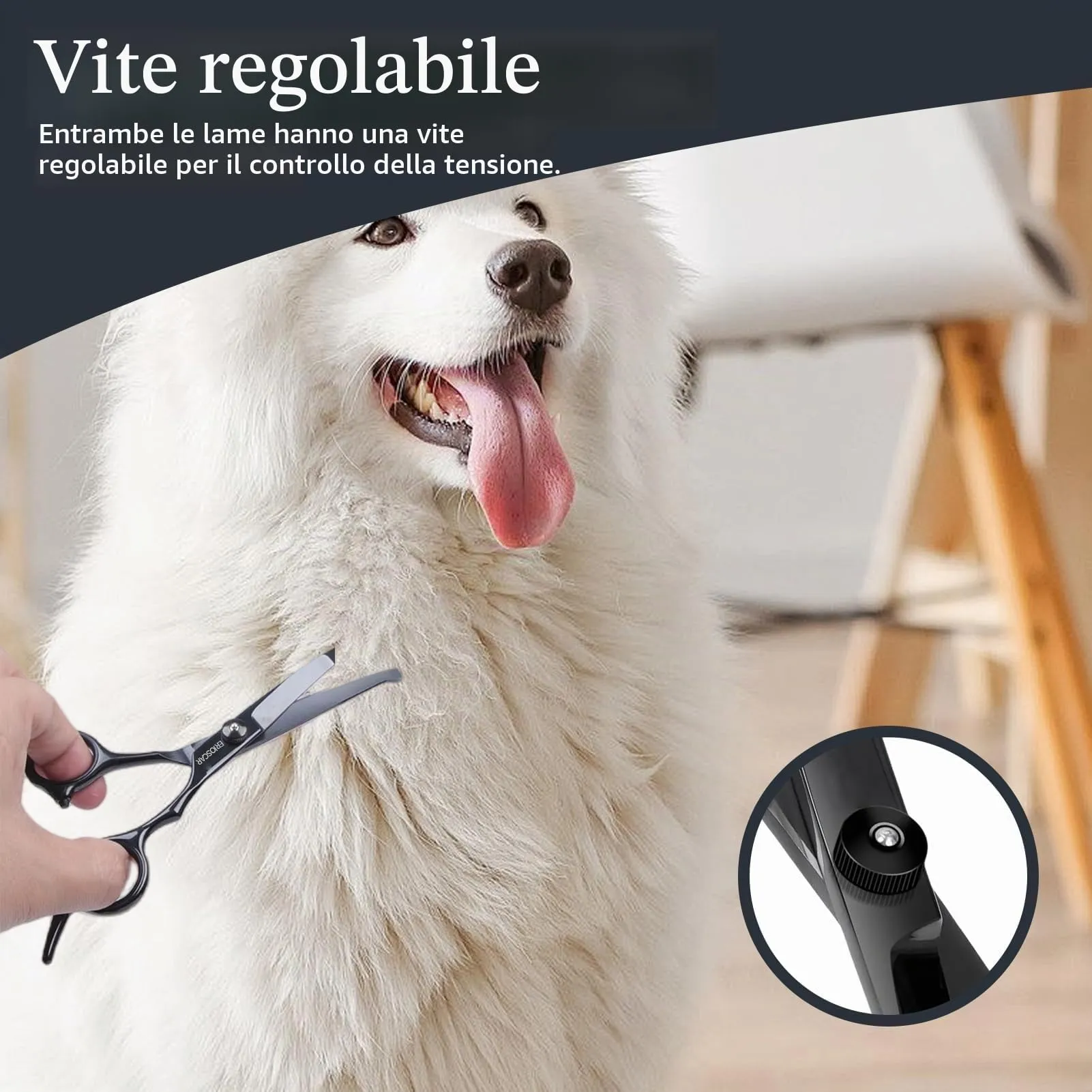 Forbici da Toelettatura per Animali Domestici, Forbice Curva per cani, Con Punta Rotonda di Sicurezza, Rivestimento in Titanio Negro In Acciaio Inox Forbici Professionali - immagine 6