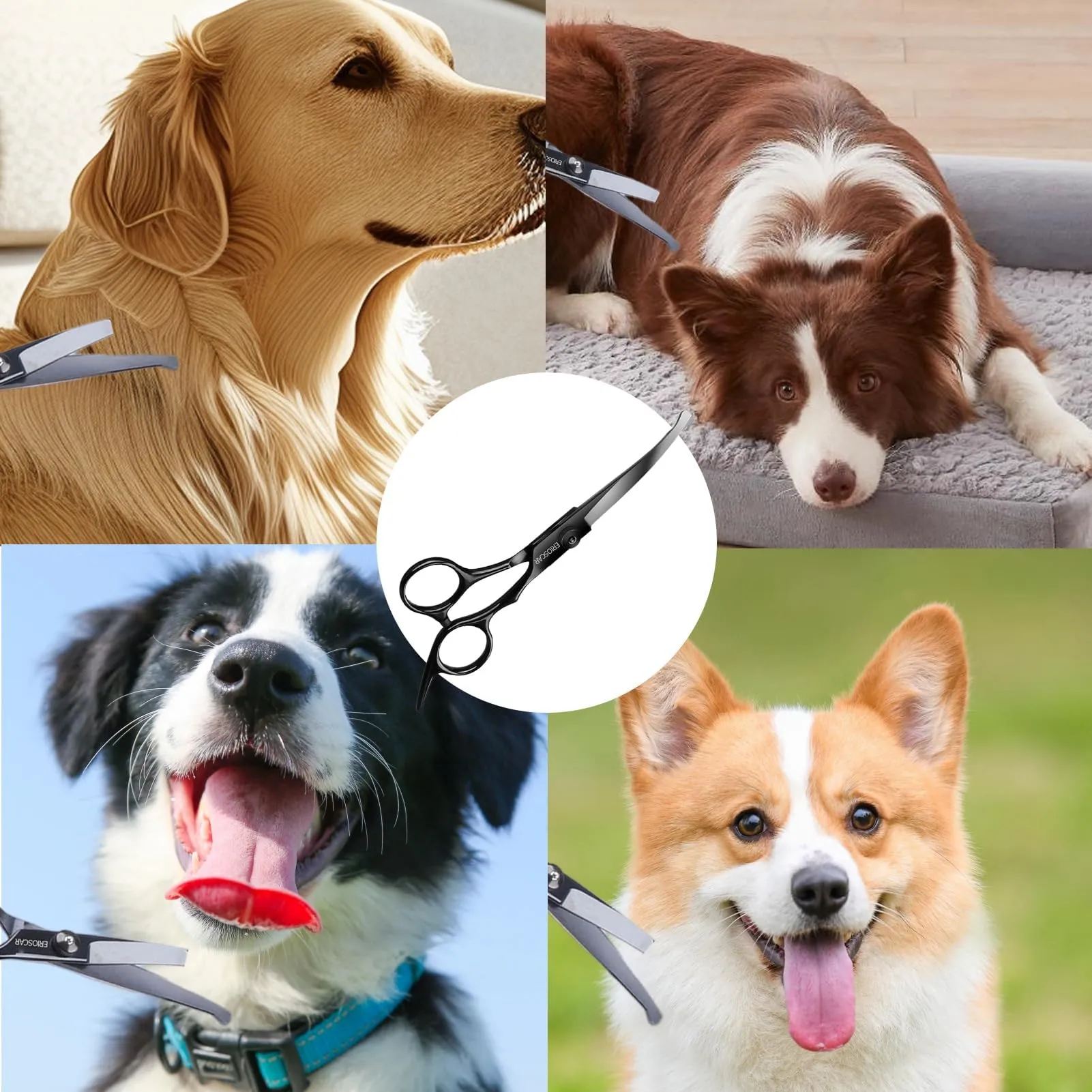 Forbici da Toelettatura per Animali Domestici, Forbice Curva per cani, Con Punta Rotonda di Sicurezza, Rivestimento in Titanio Negro In Acciaio Inox Forbici Professionali - immagine 7