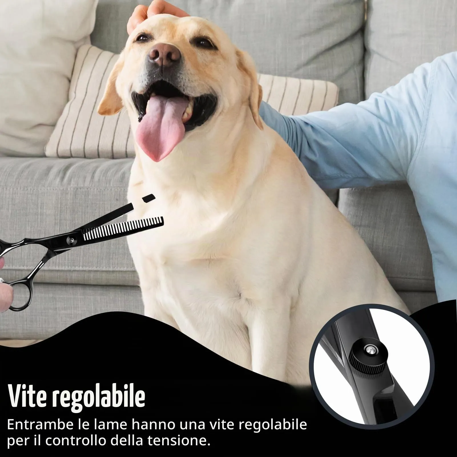 Forbici da Toelettatura per Animali Domestici, Forbici Sfoltitrici, Con Punta Rotonda di Sicurezza, Rivestimento in Titanio Negro In Acciaio Inox Forbici Professionali - immagine 5