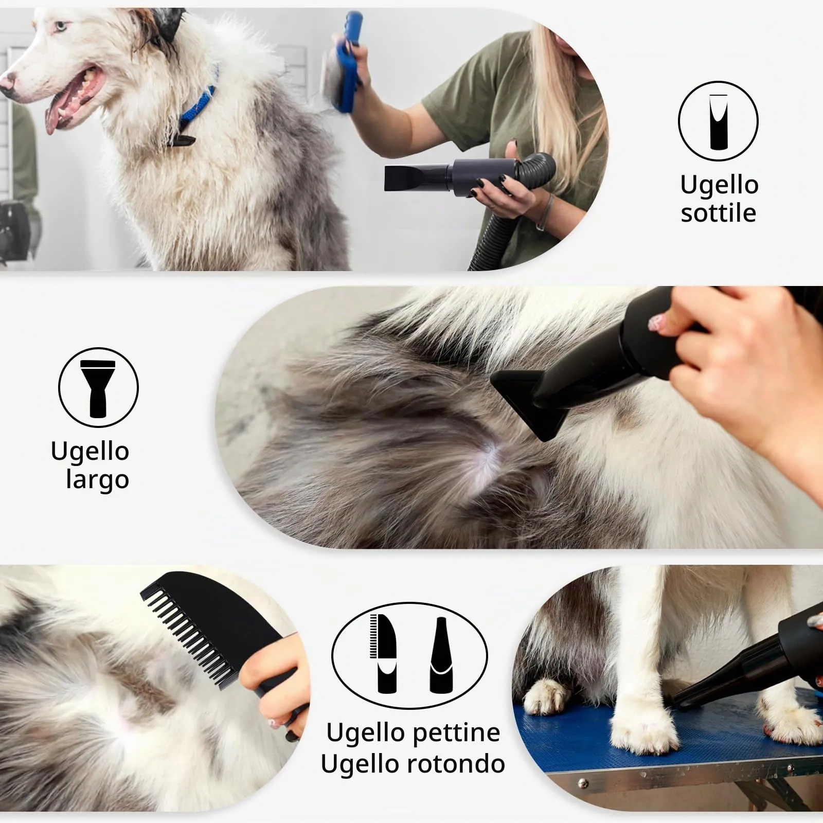 Trigrand Soffiatore per Cani 3000W Blower Molto Silenzioso velocità Regolabile, Ventilatore per la Cura del Cane con 4 Diversi ugelli e Tubo Elastico - immagine 4