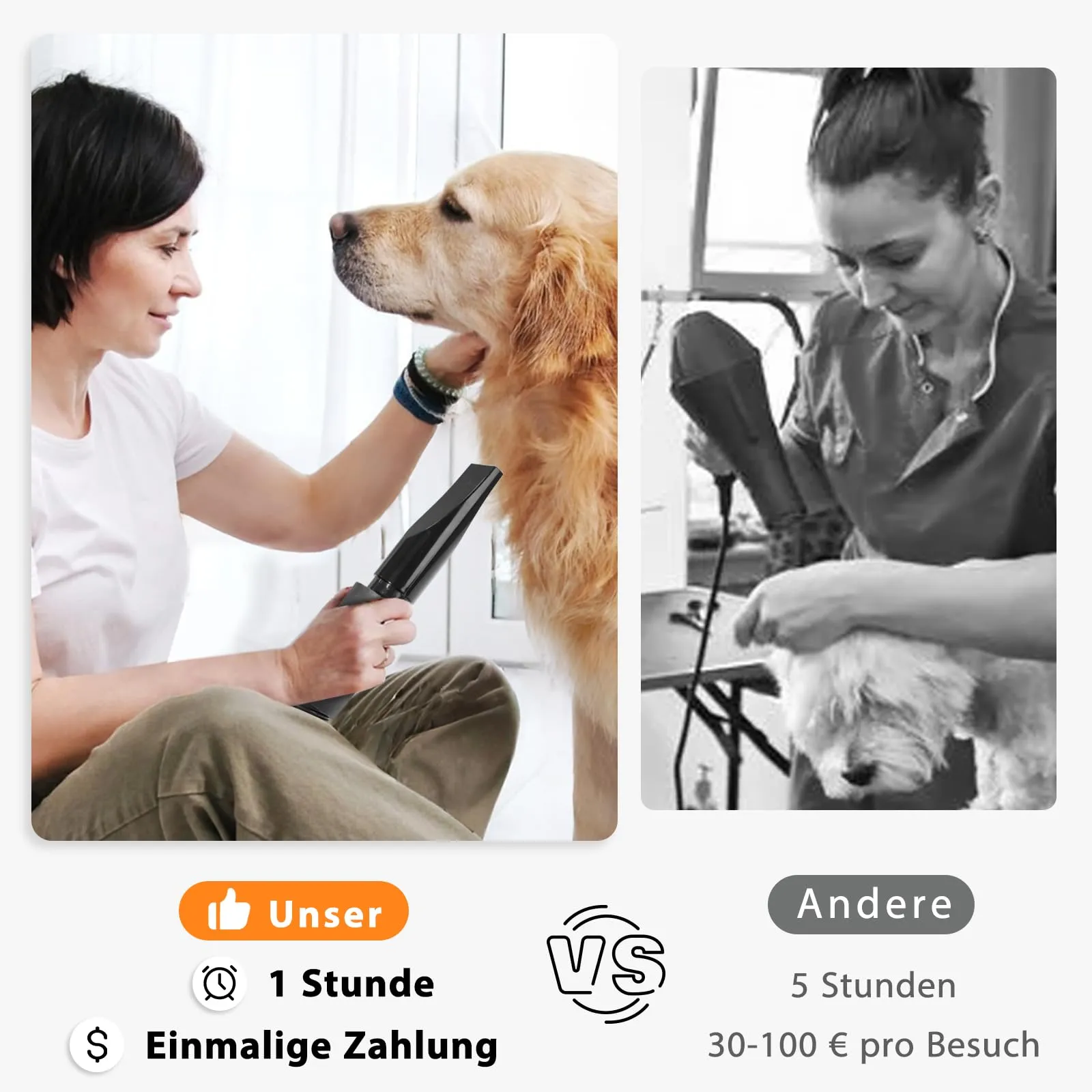 Trigrand Soffiatore per Cani 3000W Blower Molto Silenzioso velocità Regolabile, Ventilatore per la Cura del Cane con 4 Diversi ugelli e Tubo Elastico - immagine 5