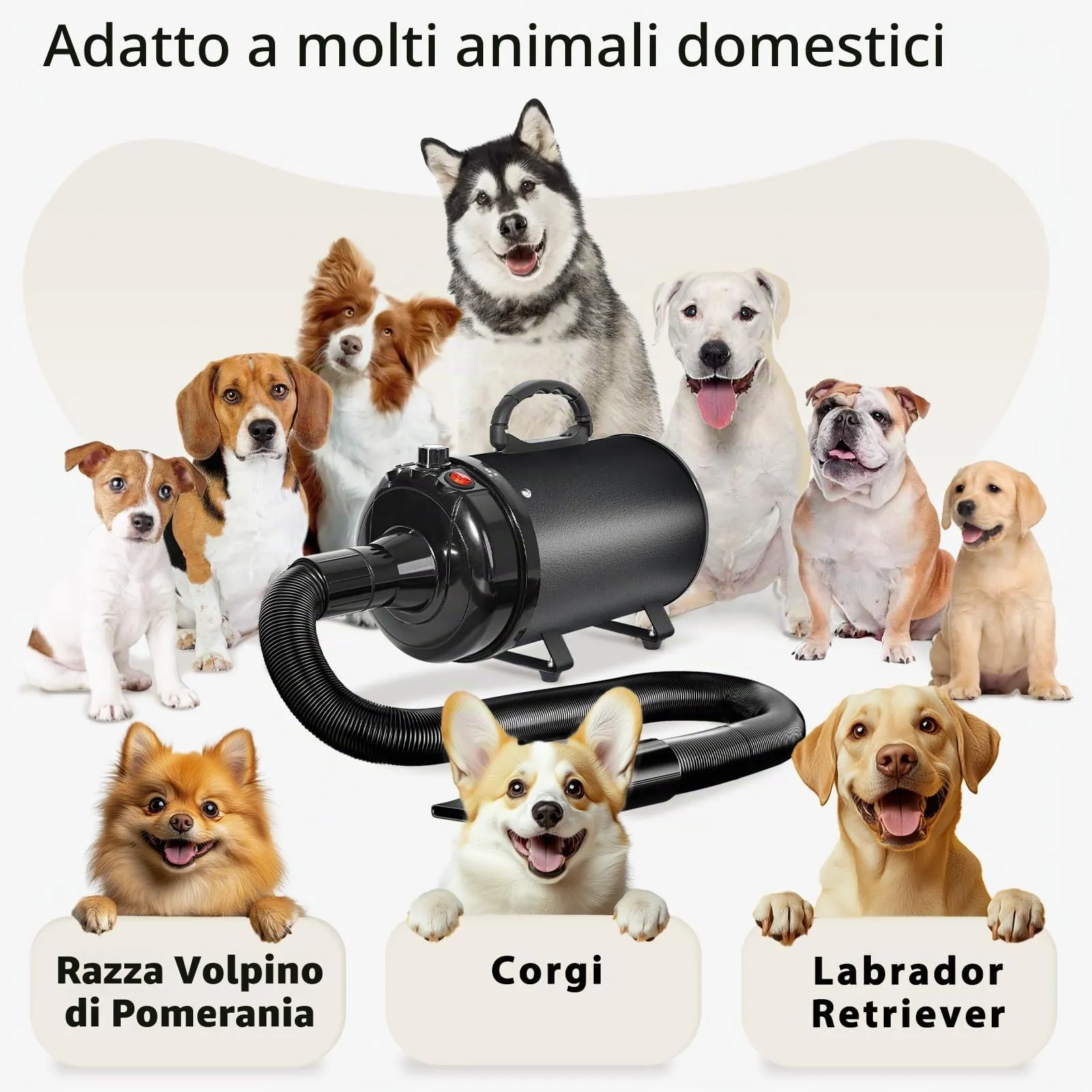 Trigrand Soffiatore per Cani 3000W Blower Molto Silenzioso velocità Regolabile, Ventilatore per la Cura del Cane con 4 Diversi ugelli e Tubo Elastico - immagine 7