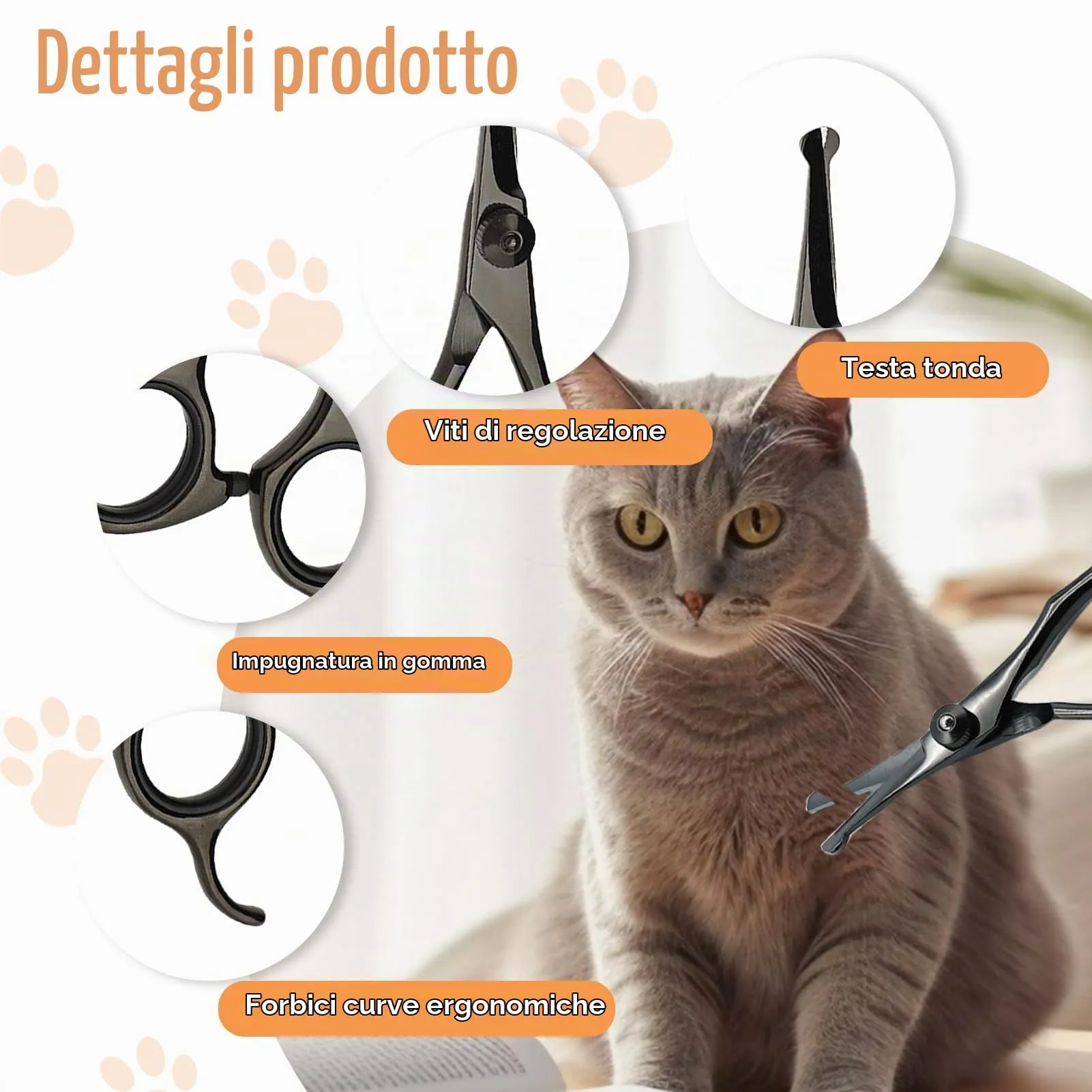 Forbici da Toelettatura per Cani, Animali Domestici e Gatti per Viso, Zampe, Orecchie, Occhi e Fianchi, con Punte Rotonde di Sicurezza, Acciaio Inossidabile Rivestito in Titanio, Lunghezza 5,3 Pollici - immagine 3
