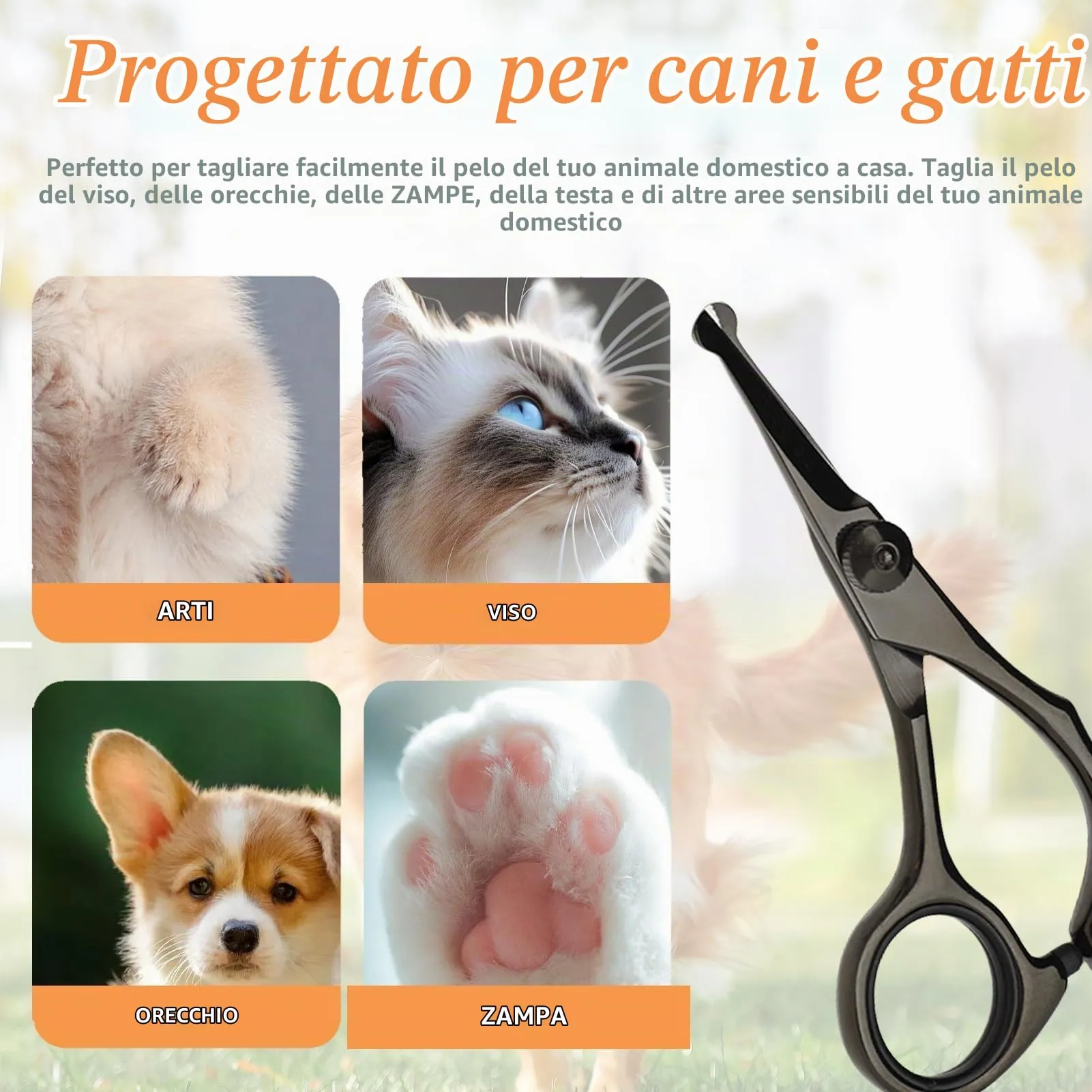 Forbici da Toelettatura per Cani, Animali Domestici e Gatti per Viso, Zampe, Orecchie, Occhi e Fianchi, con Punte Rotonde di Sicurezza, Acciaio Inossidabile Rivestito in Titanio, Lunghezza 5,3 Pollici - immagine 4