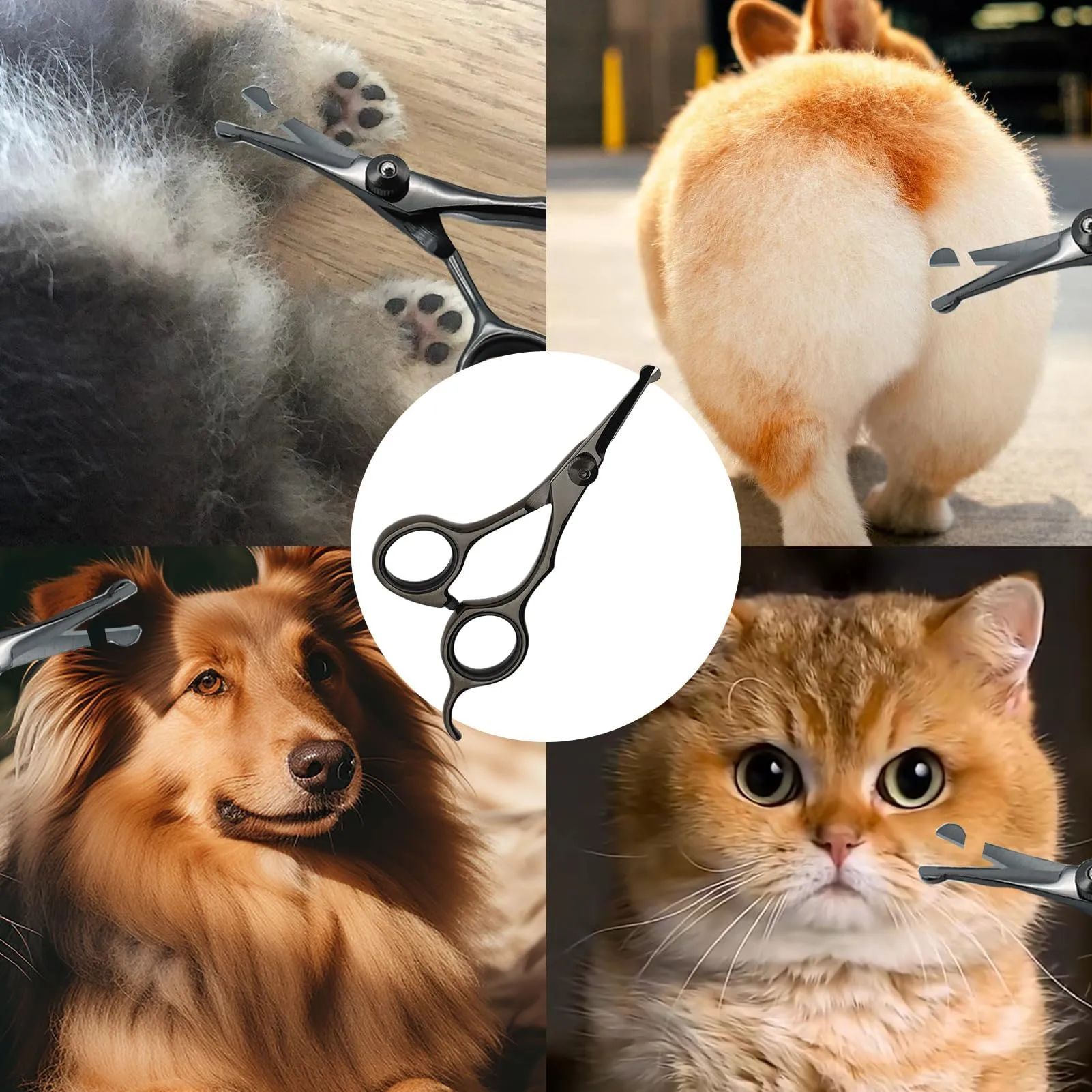 Forbici da Toelettatura per Cani, Animali Domestici e Gatti per Viso, Zampe, Orecchie, Occhi e Fianchi, con Punte Rotonde di Sicurezza, Acciaio Inossidabile Rivestito in Titanio, Lunghezza 5,3 Pollici - immagine 7