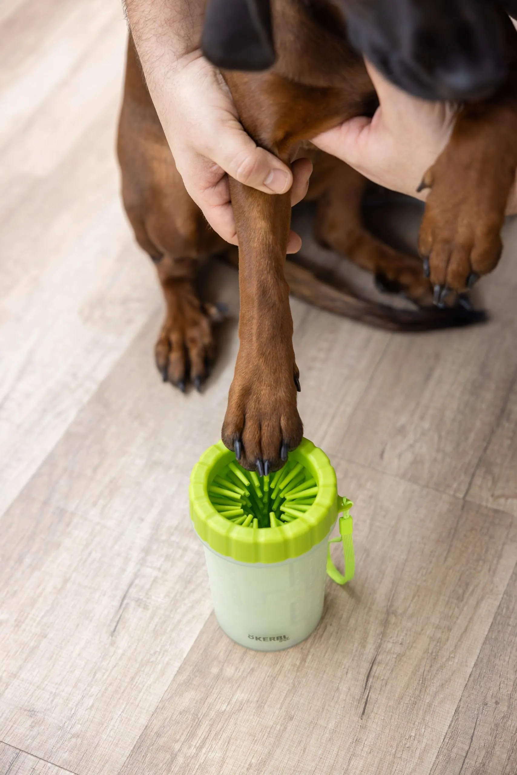 Kerbl Pet pulitore per zampe, verde, 14,5 cm, Ø10 cm, pulitore zampe cani, gatti, plastica, cani, gatti - immagine 4