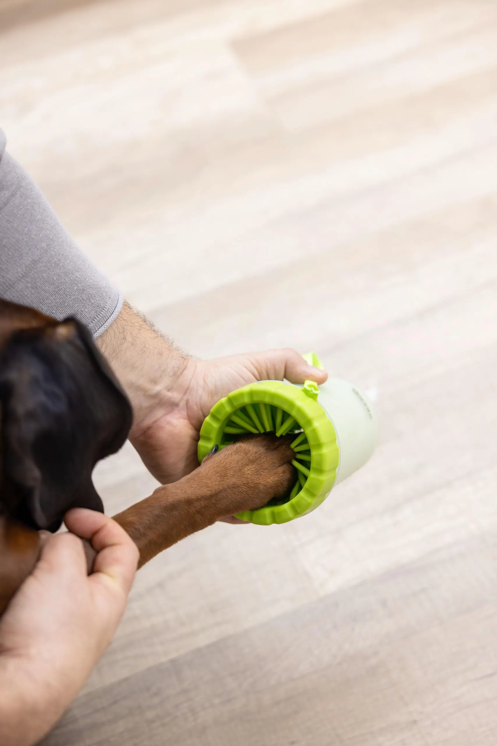 Kerbl Pet pulitore per zampe, verde, 14,5 cm, Ø10 cm, pulitore zampe cani, gatti, plastica, cani, gatti - immagine 5