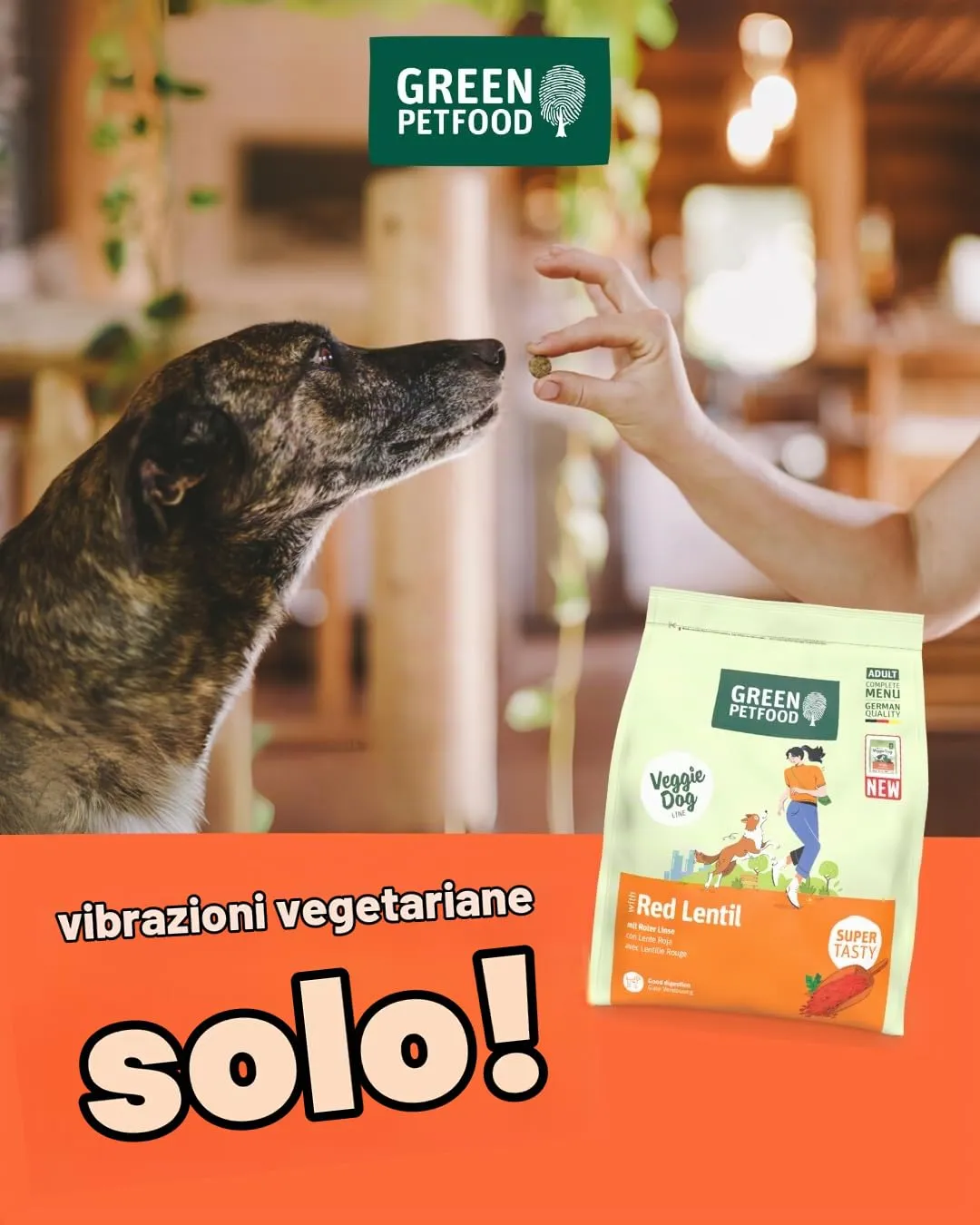 Green Petfood VeggieDog con lente rossa (1 x 10 kg), per adulti, cibo secco di alta qualità per cani adulti, 100% vegetariano, senza frumento, particolarmente compatibile con gusci di semi di psillio - immagine 5