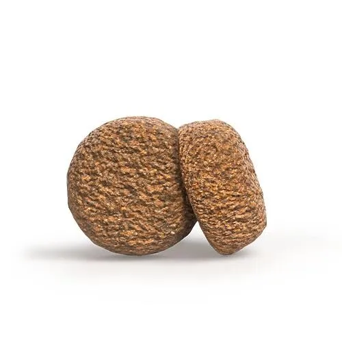 Green Petfood VeggieDog con lente rossa (1 x 10 kg), per adulti, cibo secco di alta qualità per cani adulti, 100% vegetariano, senza frumento, particolarmente compatibile con gusci di semi di psillio - immagine 7