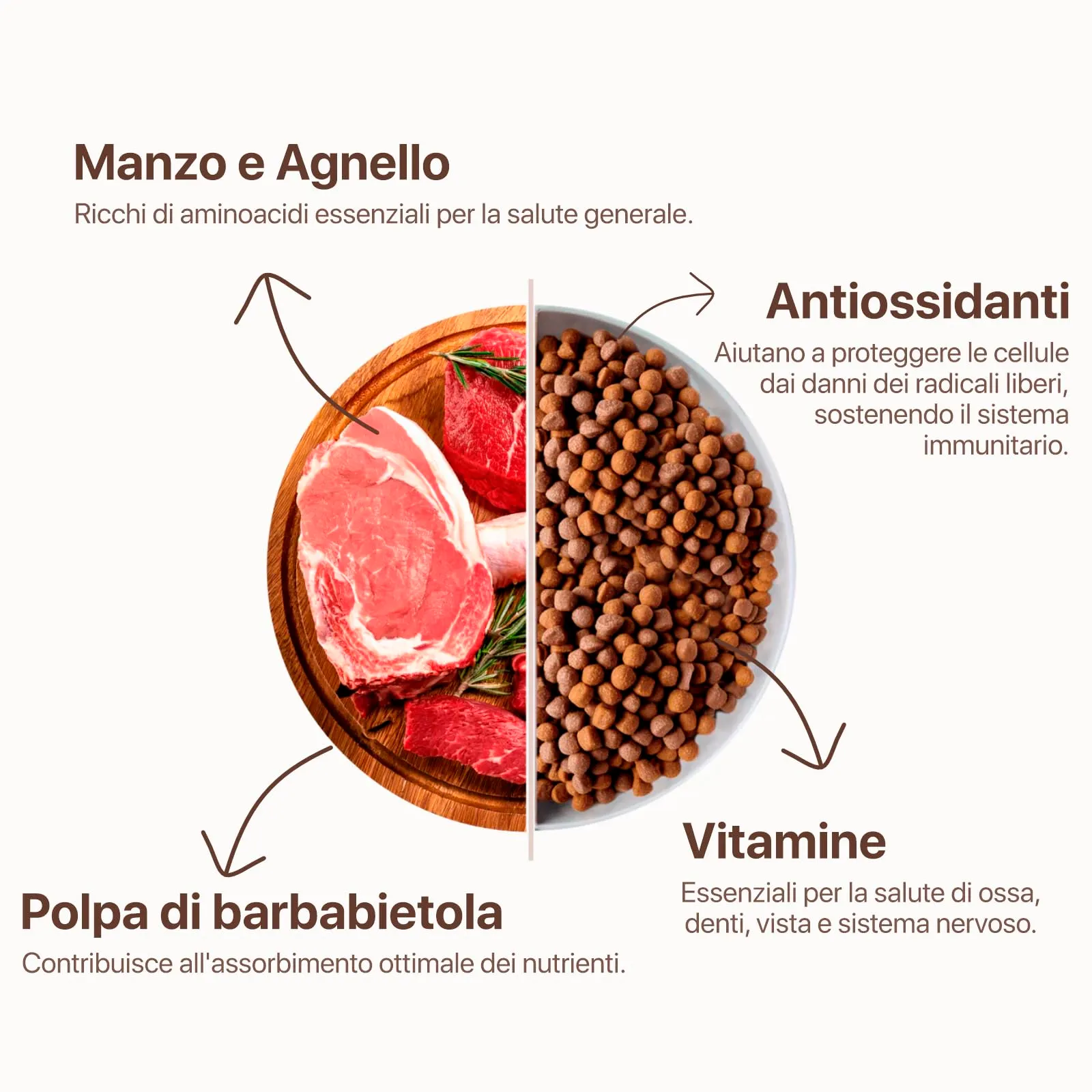 Alfa Plus - Gusto manzo e Agnello, cibo secco per cani adulti di taglia media/grande - 20kg - immagine 4