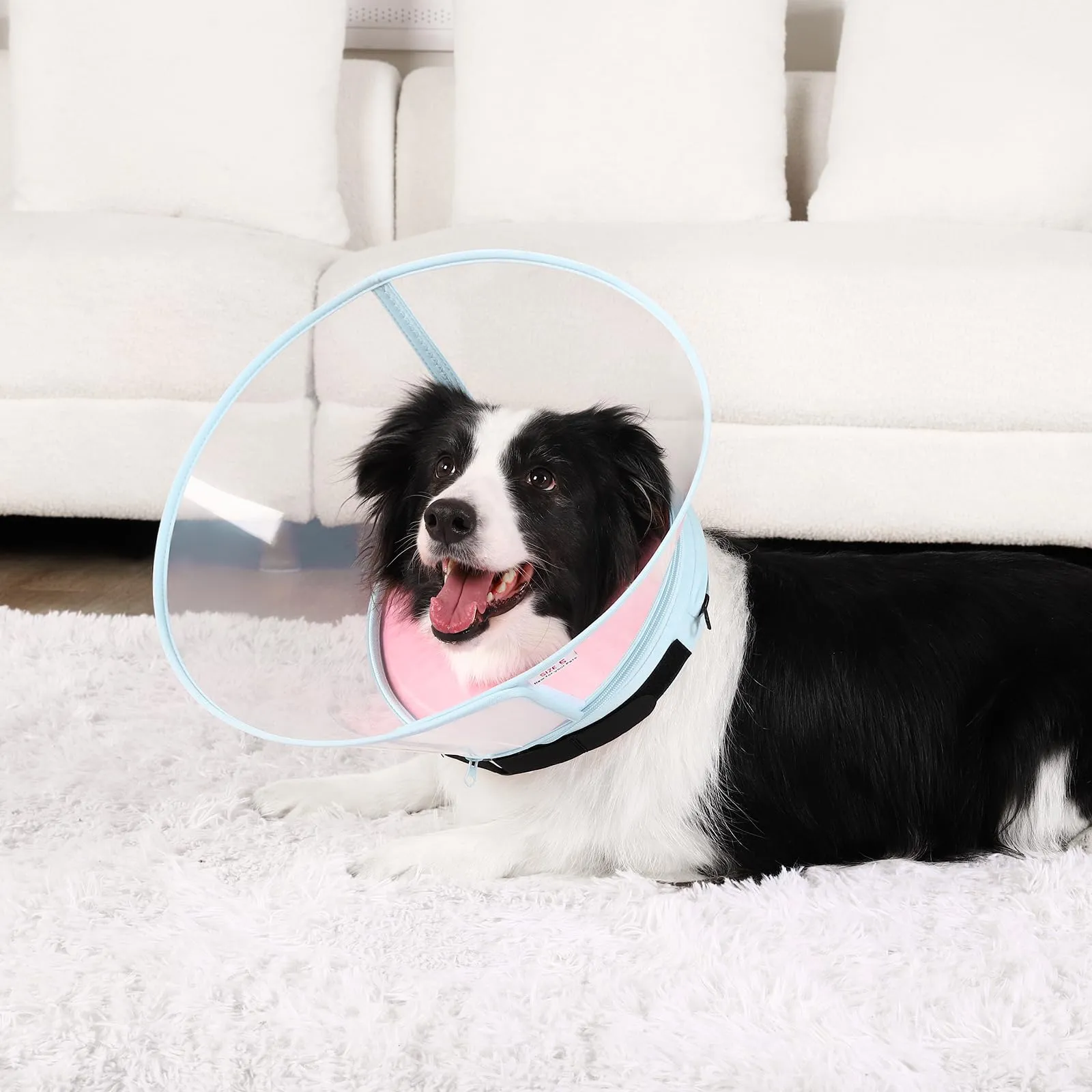 Collare Elisabettiano Cane Morbido, Alternative ai Collare Gonfiabile Cane, Collari Elisabetta Cani con Nucleo in Schiuma, Collari Protettivo Regolabile Cani Anti-Leccamento (Rosa, Size 2) - immagine 6