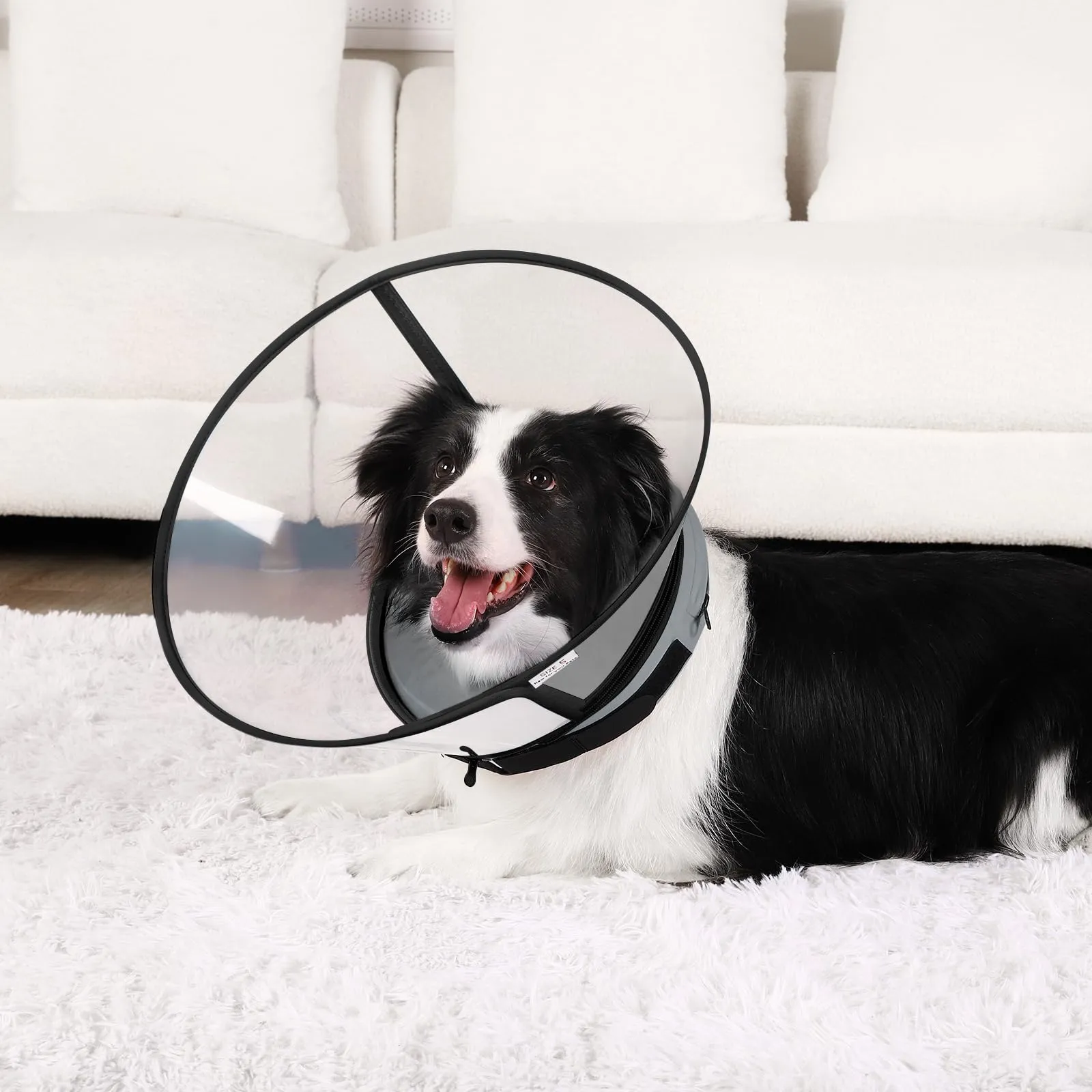 Collare Elisabettiano Cane Morbido, Alternative ai Collare Gonfiabile Cane, Collari Elisabetta Cani con Nucleo in Schiuma, Collari Protettivo Regolabile Cani Anti-Leccamento (Grigio, Size 2) - immagine 6