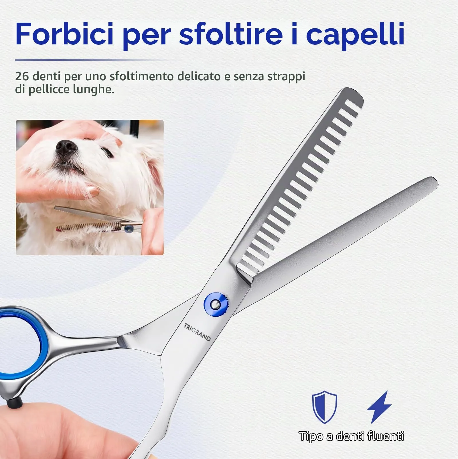 Forbici Toelettatura Cani, Acciaio Antiruggine, Punte Arrotondate Sicure, Rivestimento In Titanio, Tosatrice Professionale Per Cani Per Rifinire Muso, Zampe E Coda, Blu - immagine 4