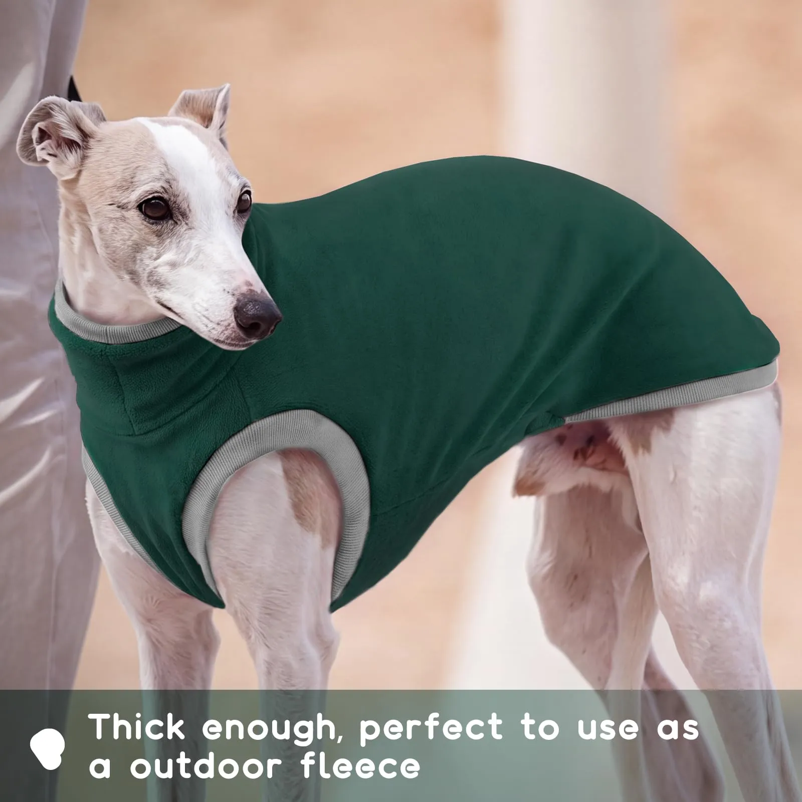 Cappotto in pile per levriero italiano - Cappotto invernale per levriero whippet - Verde - Taglia XS - immagine 5