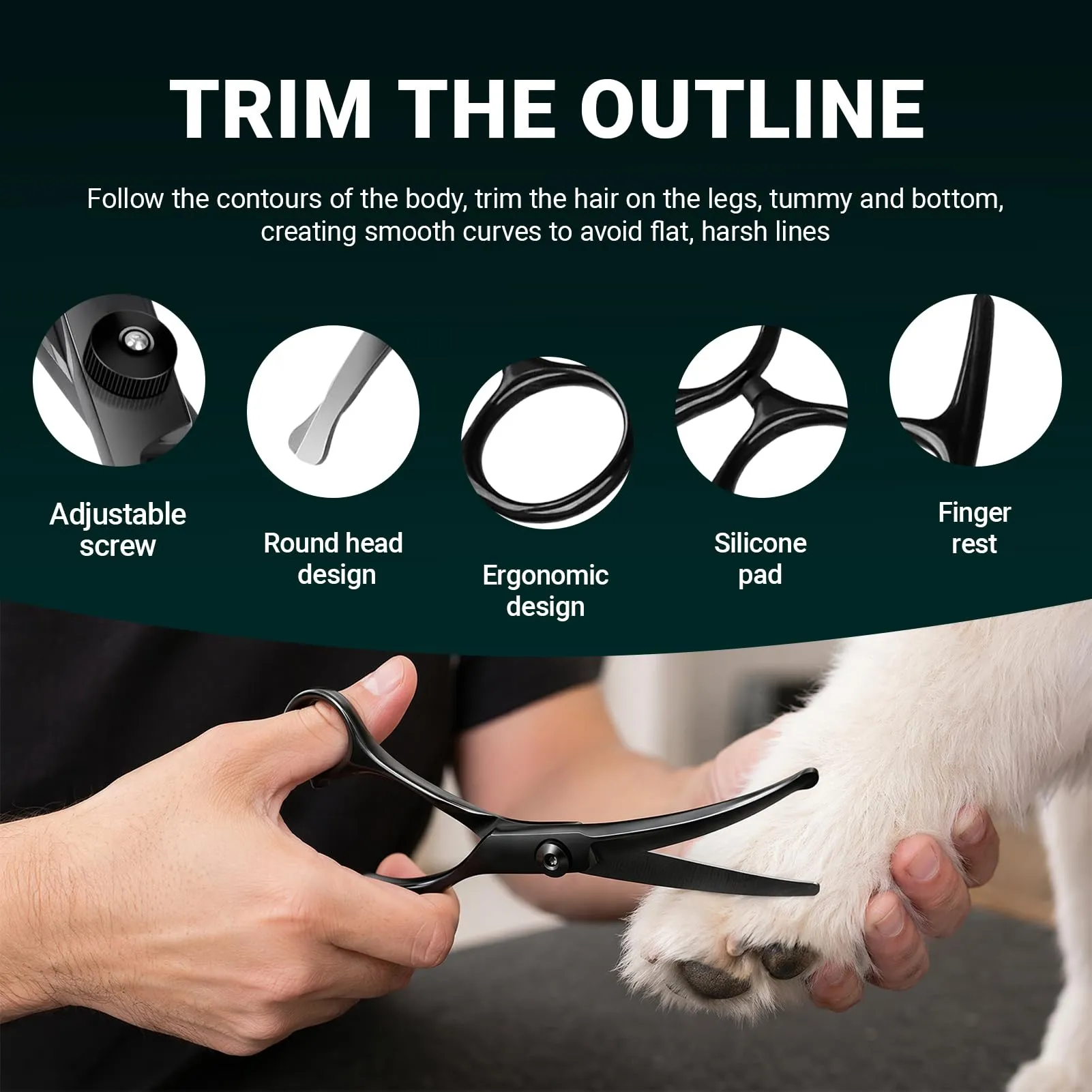 Forbici da Toelettatura per Animali Domestici, Forbice Curva per cani, Con Punta Rotonda di Sicurezza, In Acciaio Inox Forbici Professionali (Forbici Set) - immagine 6