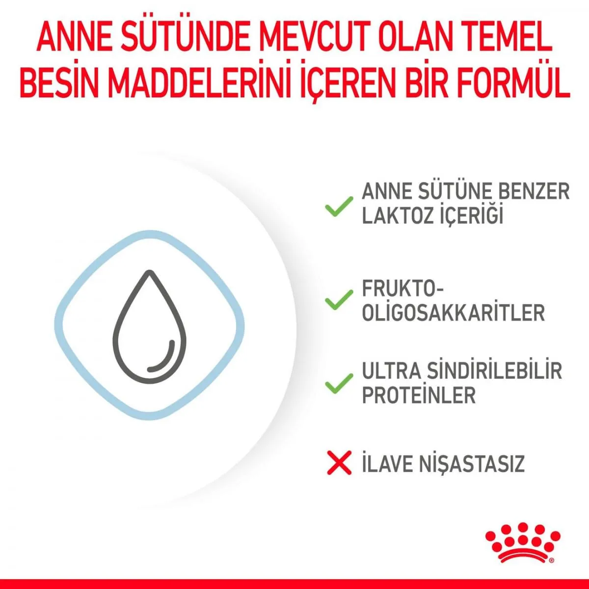 Royal Canin Babydog Milk | 4 x 100 g | Latte in polvere per cuccioli | Per il supporto digestivo | Contenuto di lattosio adeguato | Proteine altamente digeribili - immagine 4