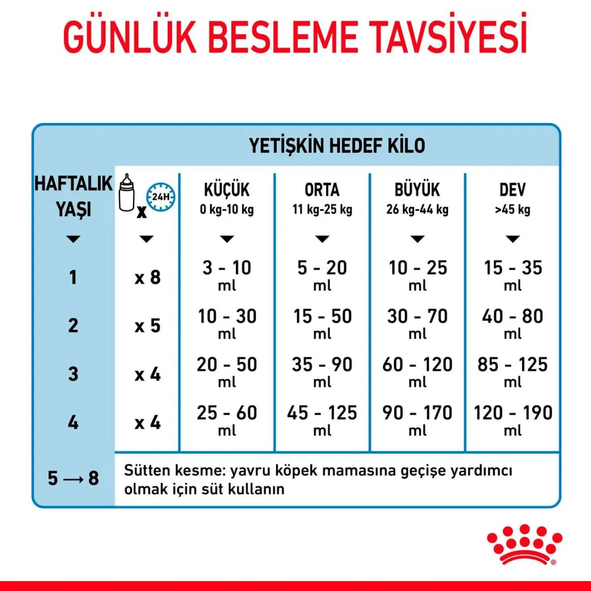 Royal Canin Babydog Milk | 4 x 100 g | Latte in polvere per cuccioli | Per il supporto digestivo | Contenuto di lattosio adeguato | Proteine altamente digeribili - immagine 7