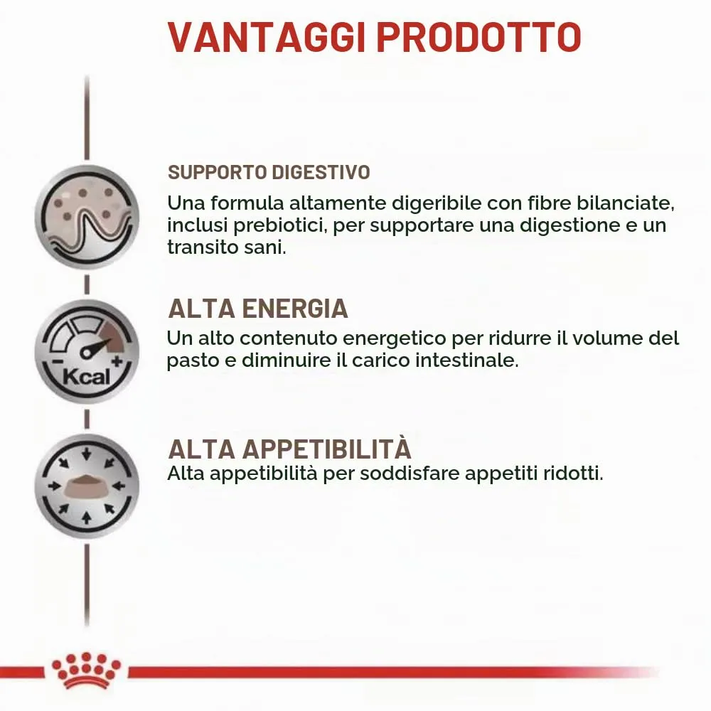 Royal Canin Veterinary Gastrointestinal Mousse | 12 x 400 g | Mangime dietetico per cani adulti | Per il supporto dei disturbi acuti dell'assorbimento intestinale - immagine 2