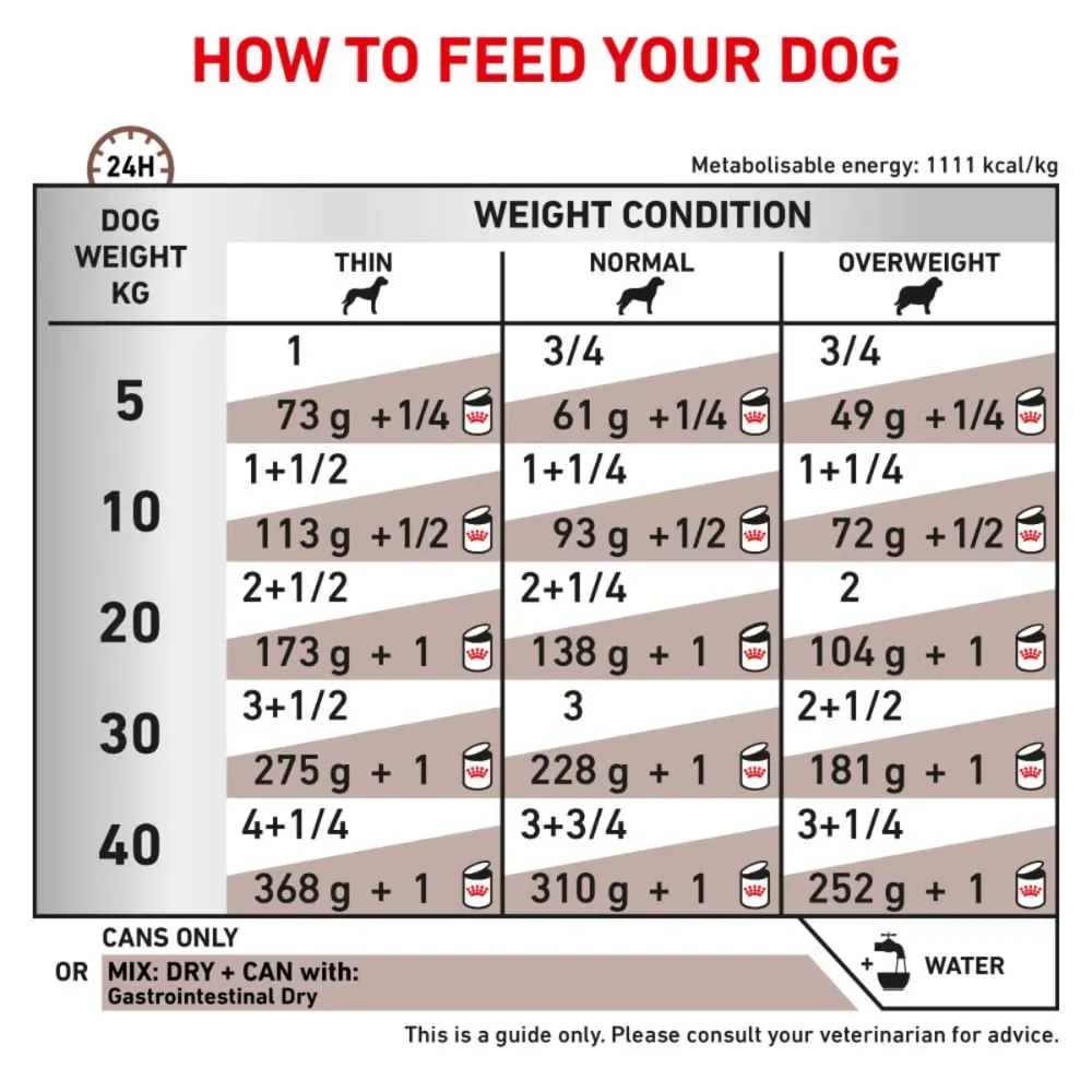 Royal Canin Veterinary Gastrointestinal Mousse | 12 x 400 g | Mangime dietetico per cani adulti | Per il supporto dei disturbi acuti dell'assorbimento intestinale - immagine 3