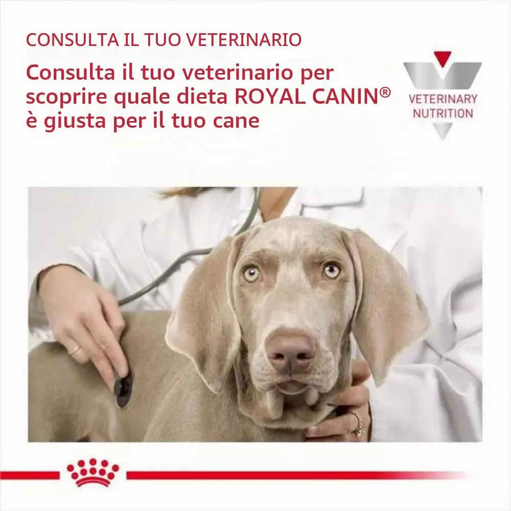 Royal Canin Veterinary Gastrointestinal Mousse | 12 x 400 g | Mangime dietetico per cani adulti | Per il supporto dei disturbi acuti dell'assorbimento intestinale - immagine 6