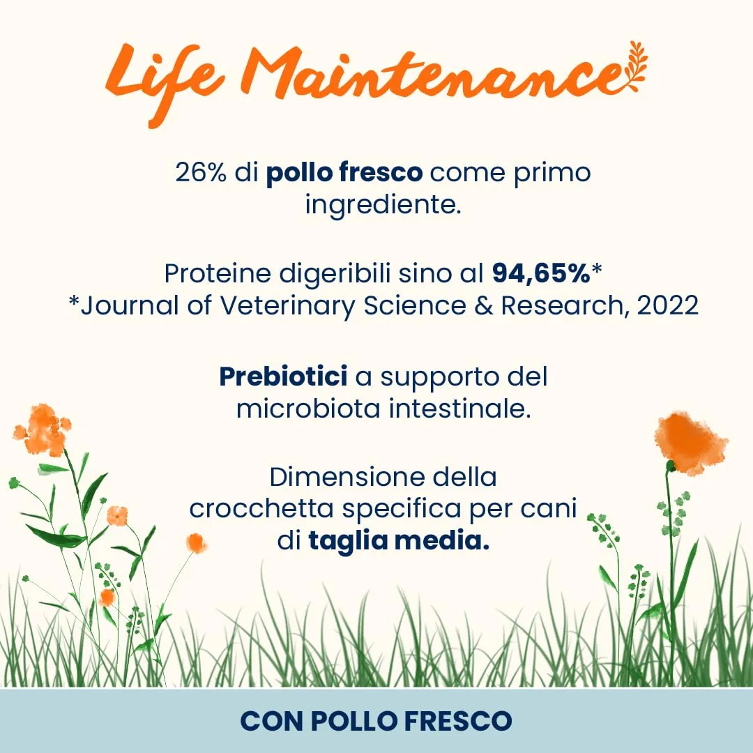 Almo Nature Life Maintenance Cibo Secco per Cane M al Pollo 12 kg – Crocchette Complete per Cani Adulti di Taglia Media - immagine 2