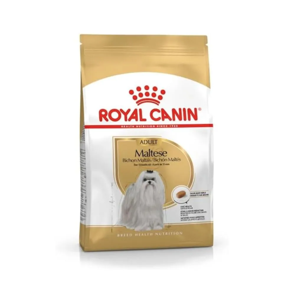 Royal Canin Maltese Adult | 500 g | Cibo secco per Maltesi adulti | Per sostenere il pelo e la digestione | Per cani a partire dai 10 mesi - immagine 1