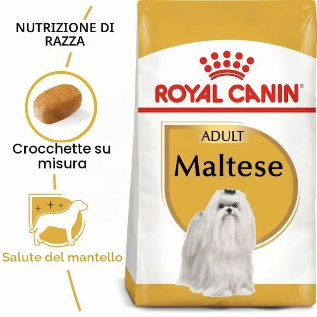 Royal Canin Maltese Adult | 500 g | Cibo secco per Maltesi adulti | Per sostenere il pelo e la digestione | Per cani a partire dai 10 mesi - immagine 3
