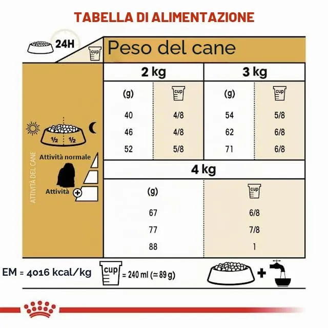 Royal Canin Maltese Adult | 500 g | Cibo secco per Maltesi adulti | Per sostenere il pelo e la digestione | Per cani a partire dai 10 mesi - immagine 6