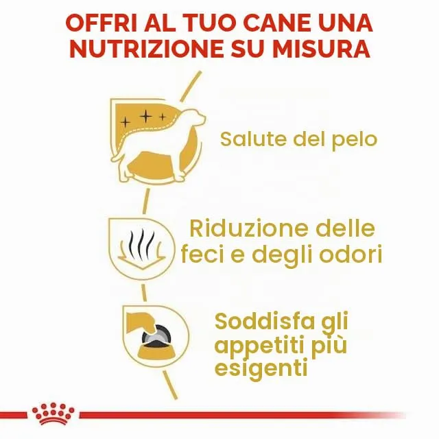 Royal Canin Maltese Adult | 500 g | Cibo secco per Maltesi adulti | Per sostenere il pelo e la digestione | Per cani a partire dai 10 mesi - immagine 8