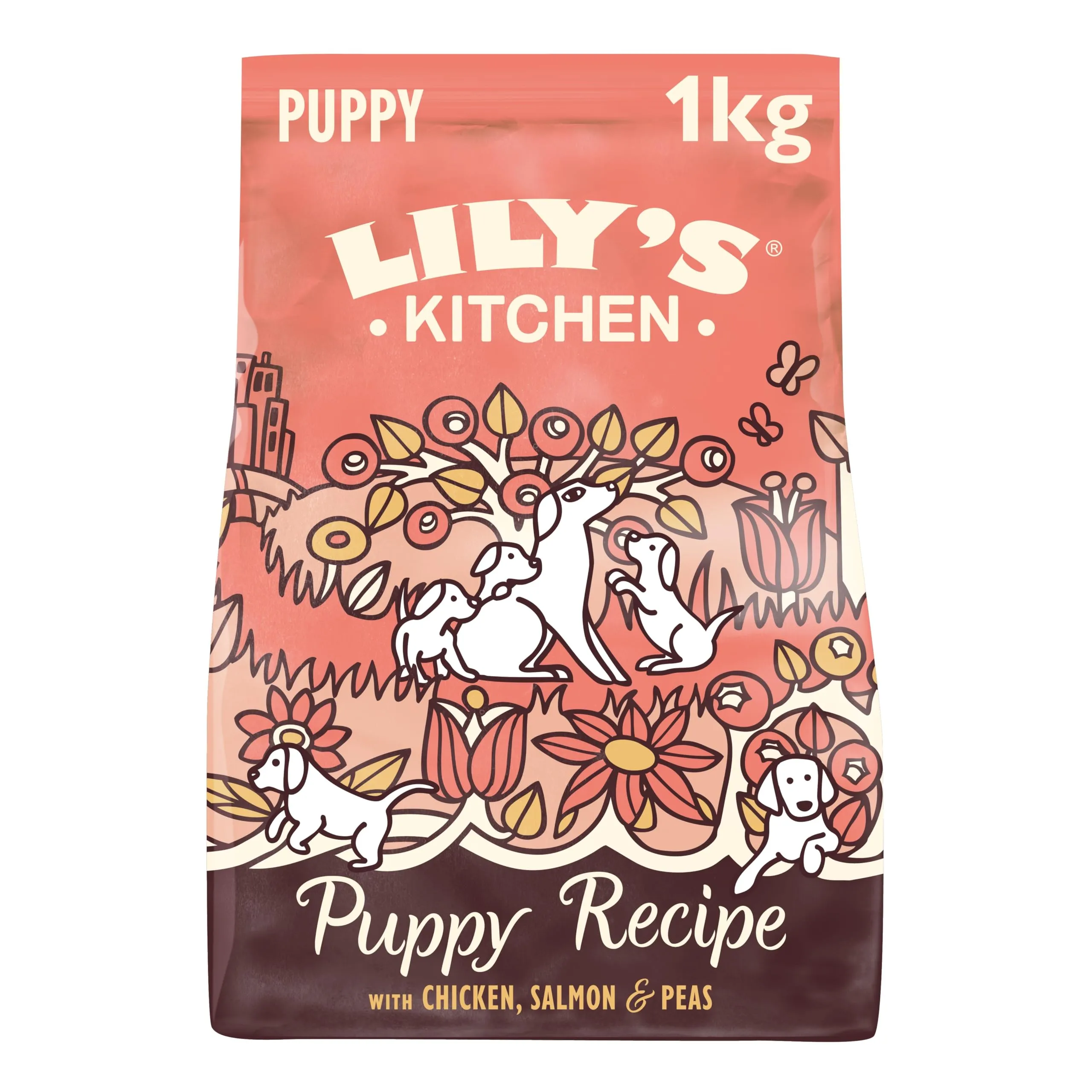 Lily's Kitchen Preparato con ingredienti naturali Cibo secco per cani cuccioli Ricetta senza cereali con pollo, salmone e piselli 1kg - immagine 1