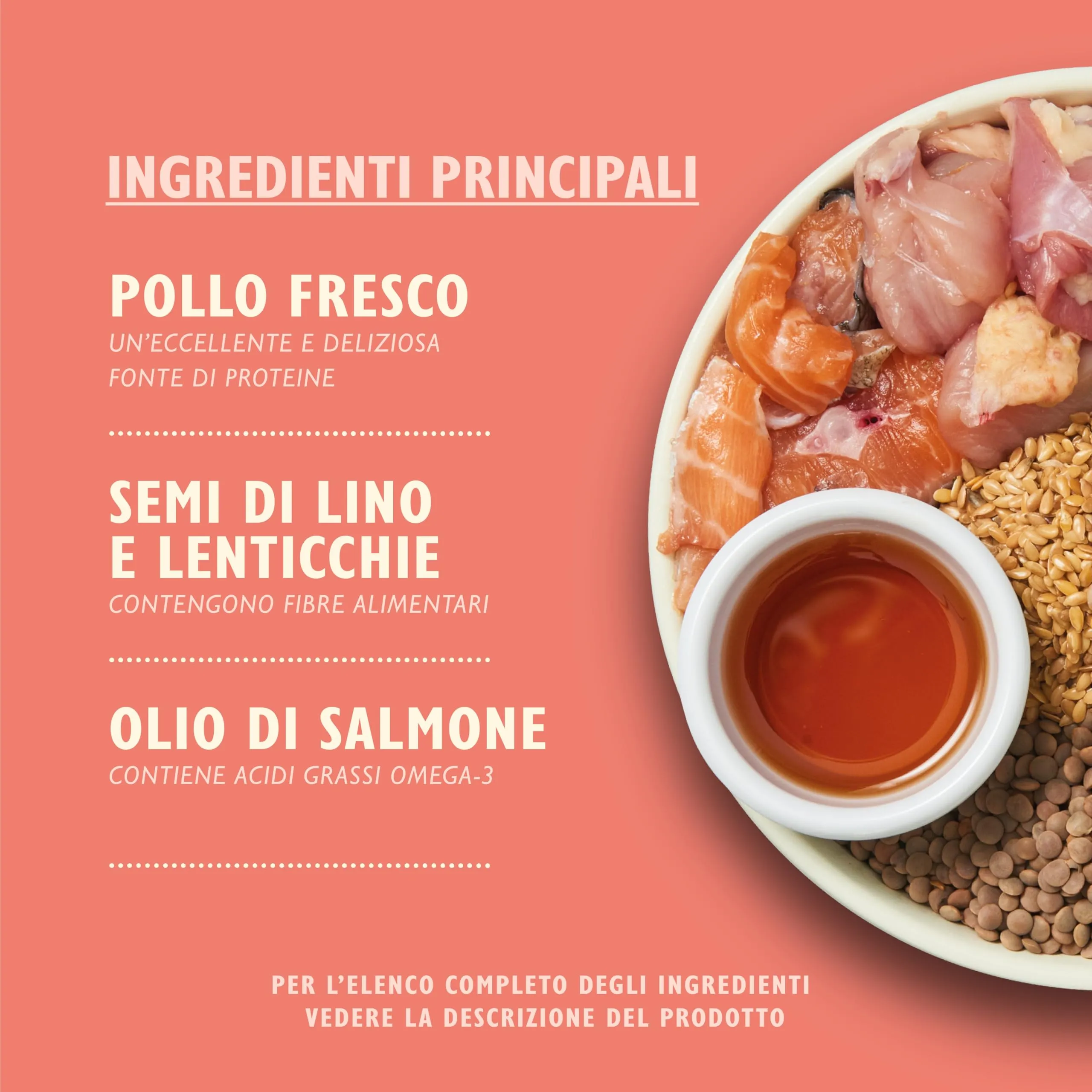 Lily's Kitchen Preparato con ingredienti naturali Cibo secco per cani cuccioli Ricetta senza cereali con pollo, salmone e piselli 1kg - immagine 2